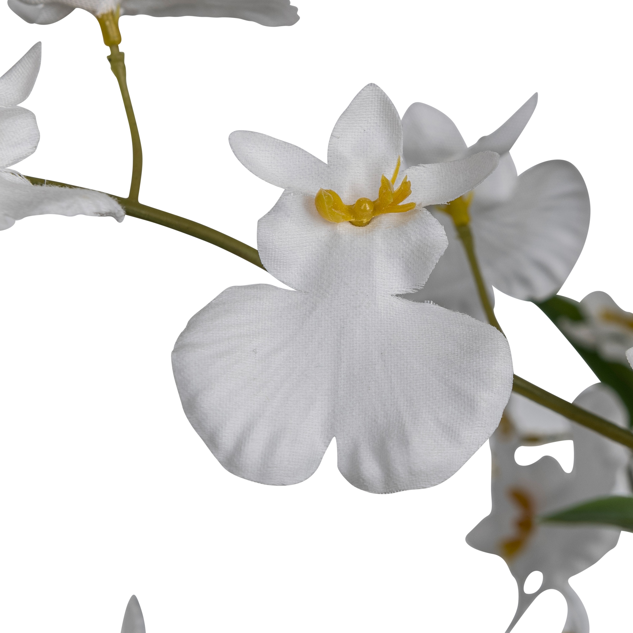 Creativ green Kunstorchidee »Orchidee Oncydie«, im eleganten Topf