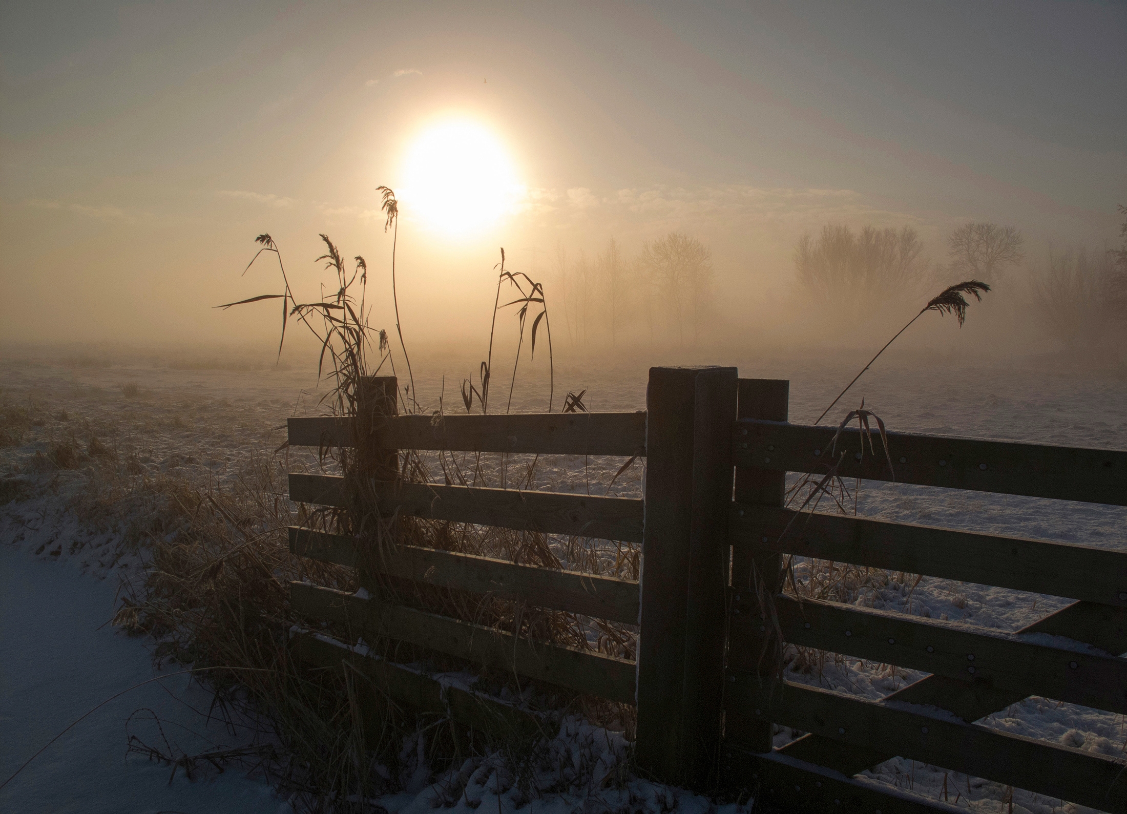 Papermoon Fototapete »Photo-Art ALIDA VAN ZAANE, WINTERSTIMMUNG« günstig online kaufen