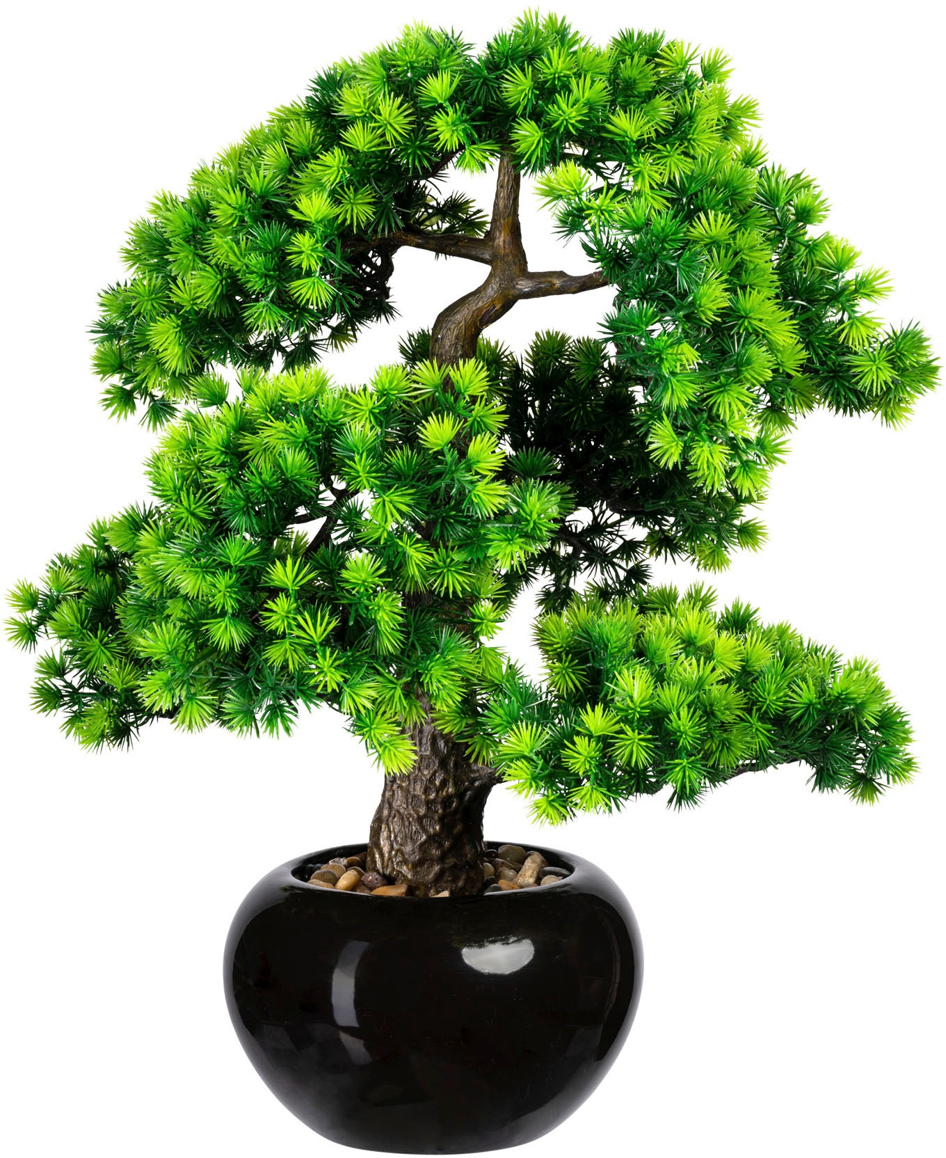 Creativ Lärche«, Kunstbonsai im St.), auf Raten Keramiktopf green (1 »Bonsai bestellen