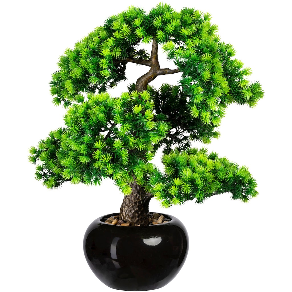 Creativ green Kunstbonsai »Bonsai Lärche«