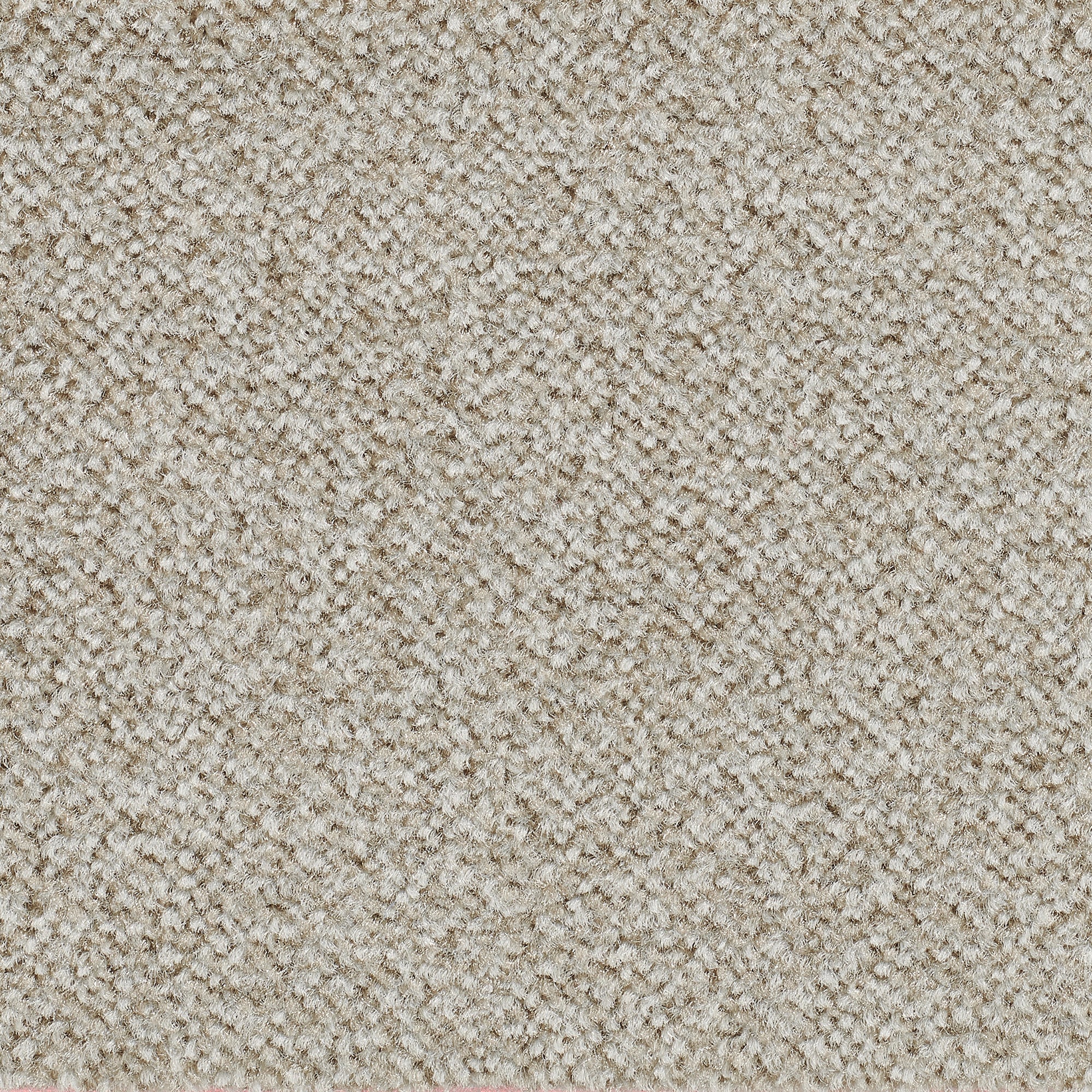 Bodenmeister Teppichboden »Veloursteppich Juno«, rechteckig, Wohnzimmer,  Schlafzimmer, Kinderzimmer, Breite 400/500 cm bequem und schnell bestellen