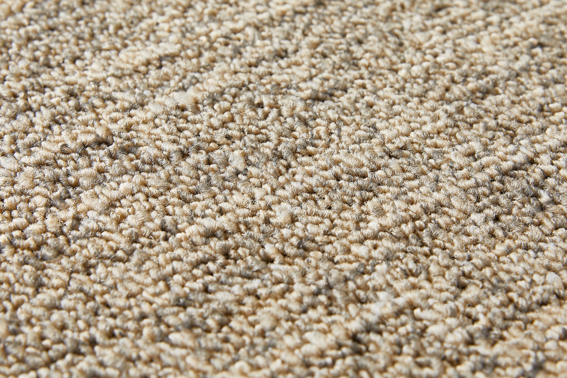 my home Teppichboden »Jamie, melierte Schlinge, Made in Netherlands«, rechteckig, 6 mm Höhe, Breite 400 cm, strapazierfähig, pflegeleicht, allergikerfreundlich