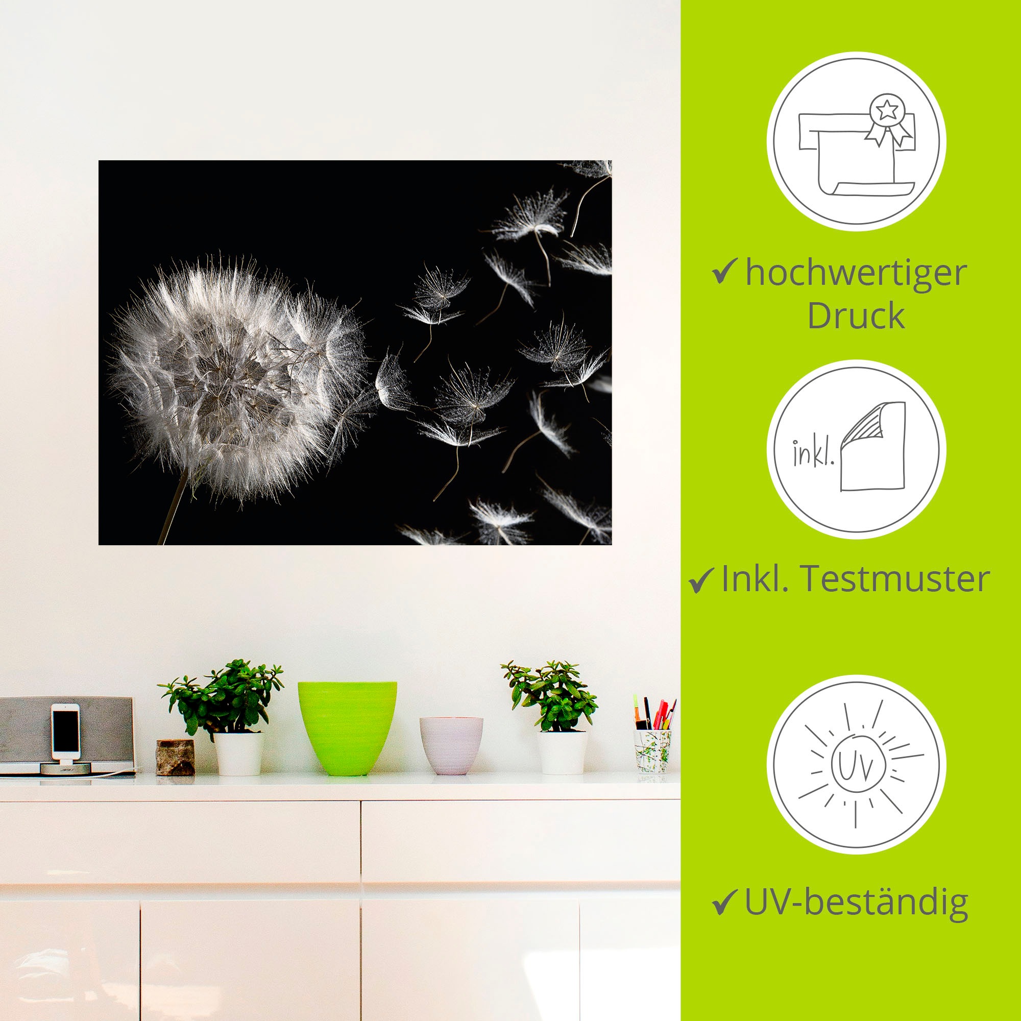 Artland Wandbild »Pusteblume«, Blumenbilder, (1 St.), als Alubild, Outdoorbild, Leinwandbild, Poster, Wandaufkleber