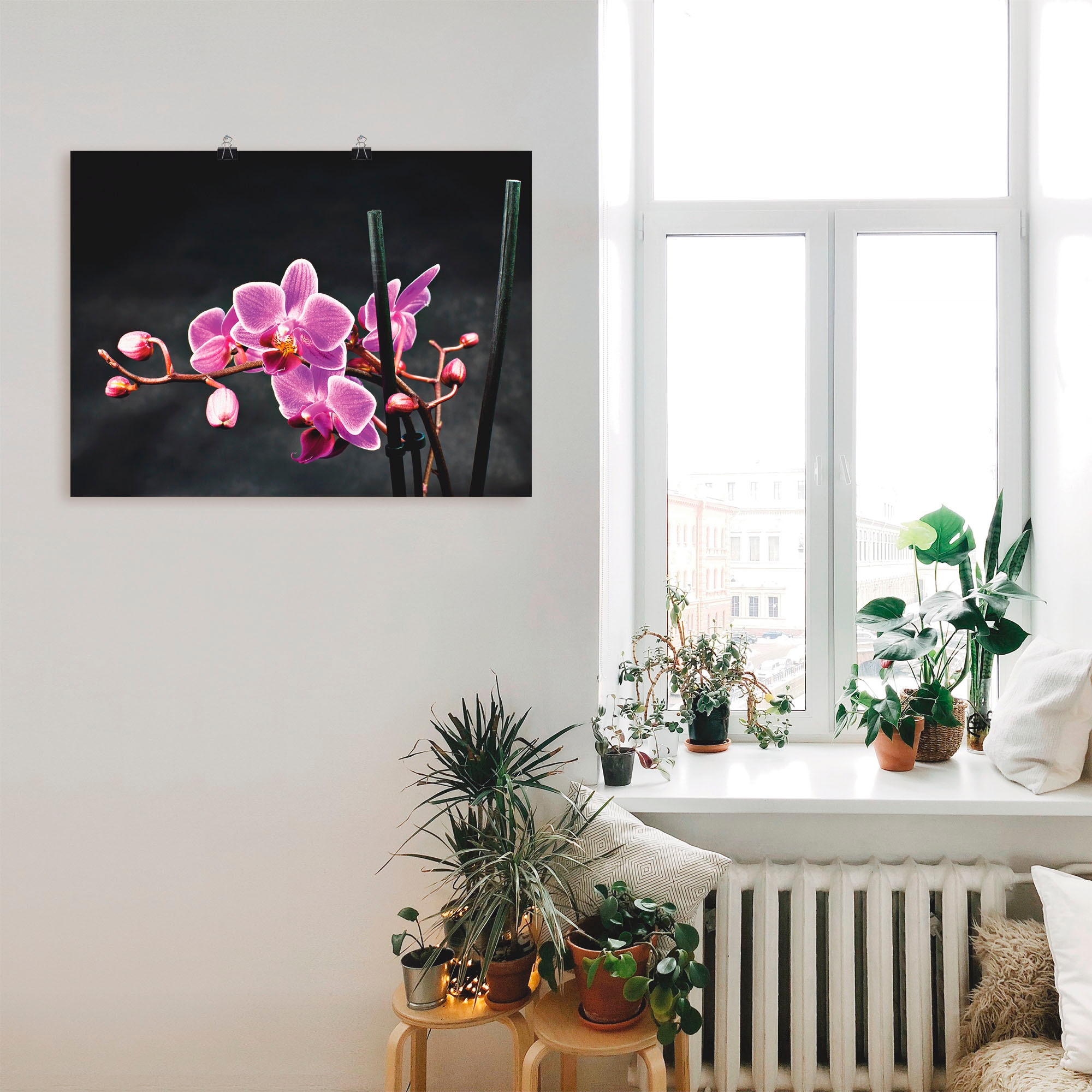 Artland Wandbild »Eine Orchidee vor schwarzem Hintergrund«, Blumen, (1 St.), als Leinwandbild, Poster, Wandaufkleber in verschied. Größen