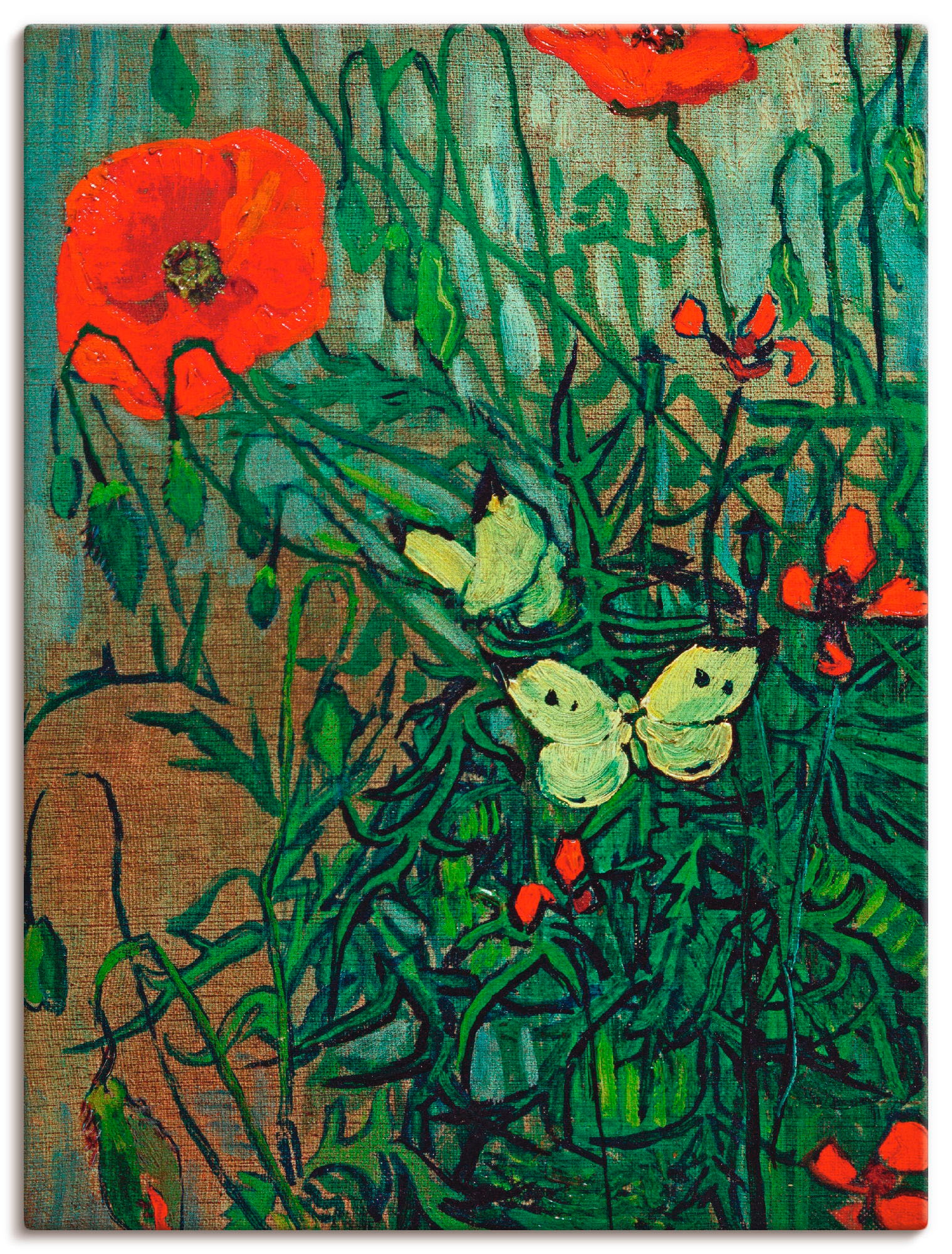 Artland Leinwandbild »Schmetterlinge auf Mohnblüten«, Blumen, (1 St.), auf günstig online kaufen