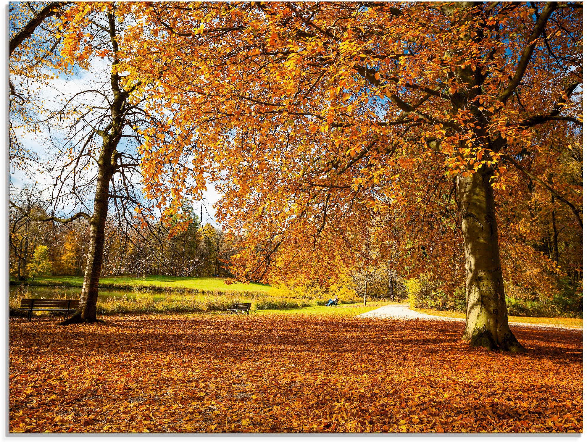 Artland Glasbild »Herbst bei Schlosses Nymphenburg« Wiesen & Bäume 1 Stk. t günstig online kaufen