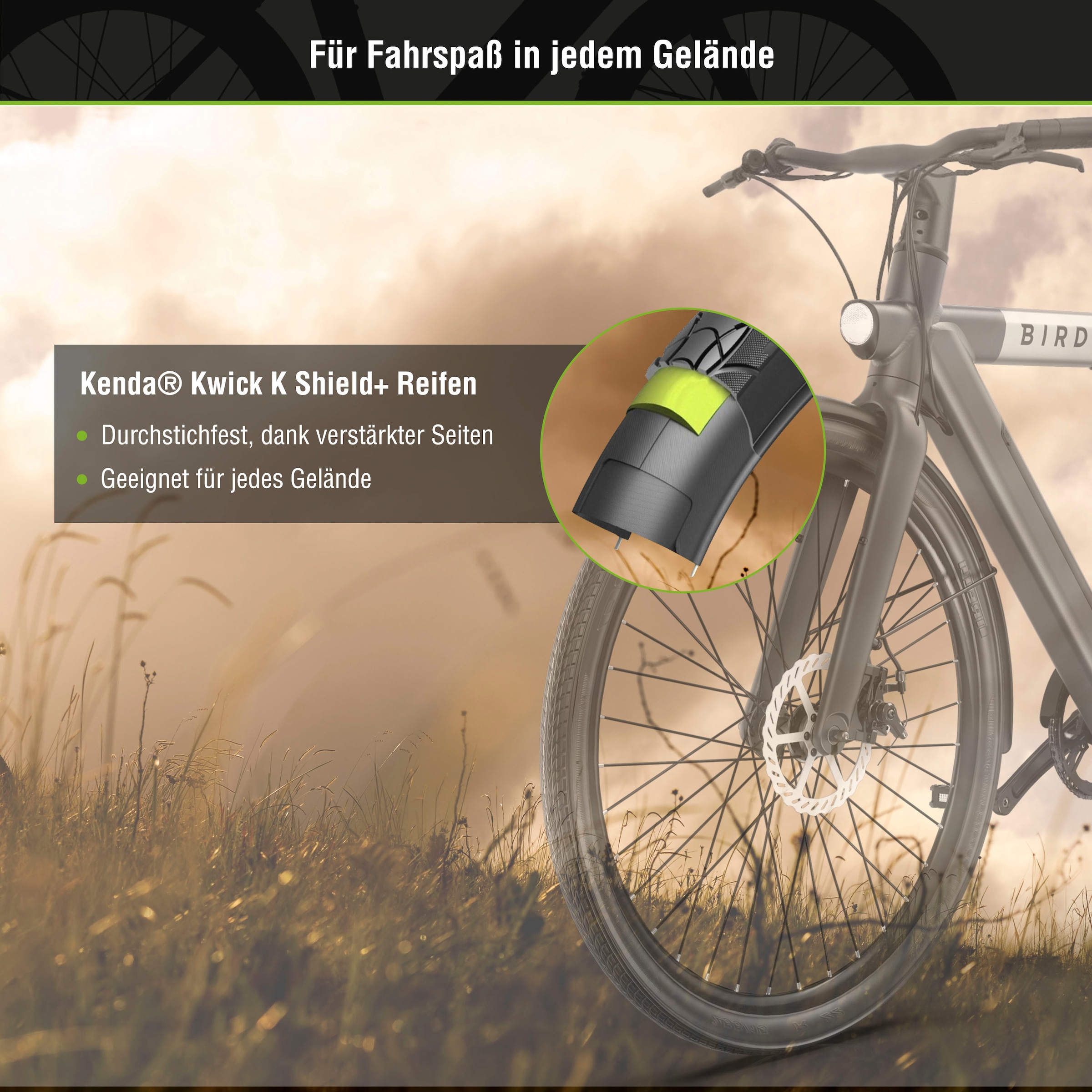 SachsenRad »C6R« 1 Gang ohne Schaltung Heckmotor 250 W Pedelec, Elektrofahrrad für Damen und Herren