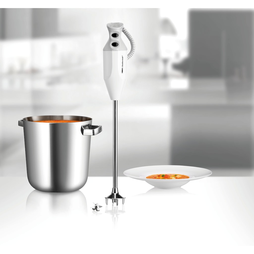 Esge Stabmixer »Gastro Max 90890«, 350 W