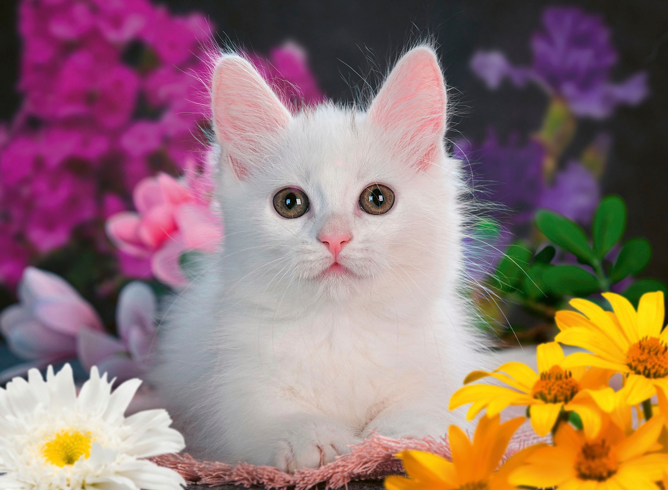 Ravensburger Puzzle »Glitzerkatze«, Made in Germany