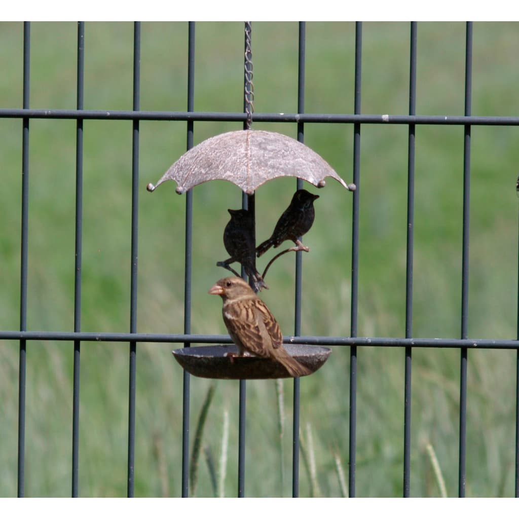 Ambiente Haus Vogeltränke