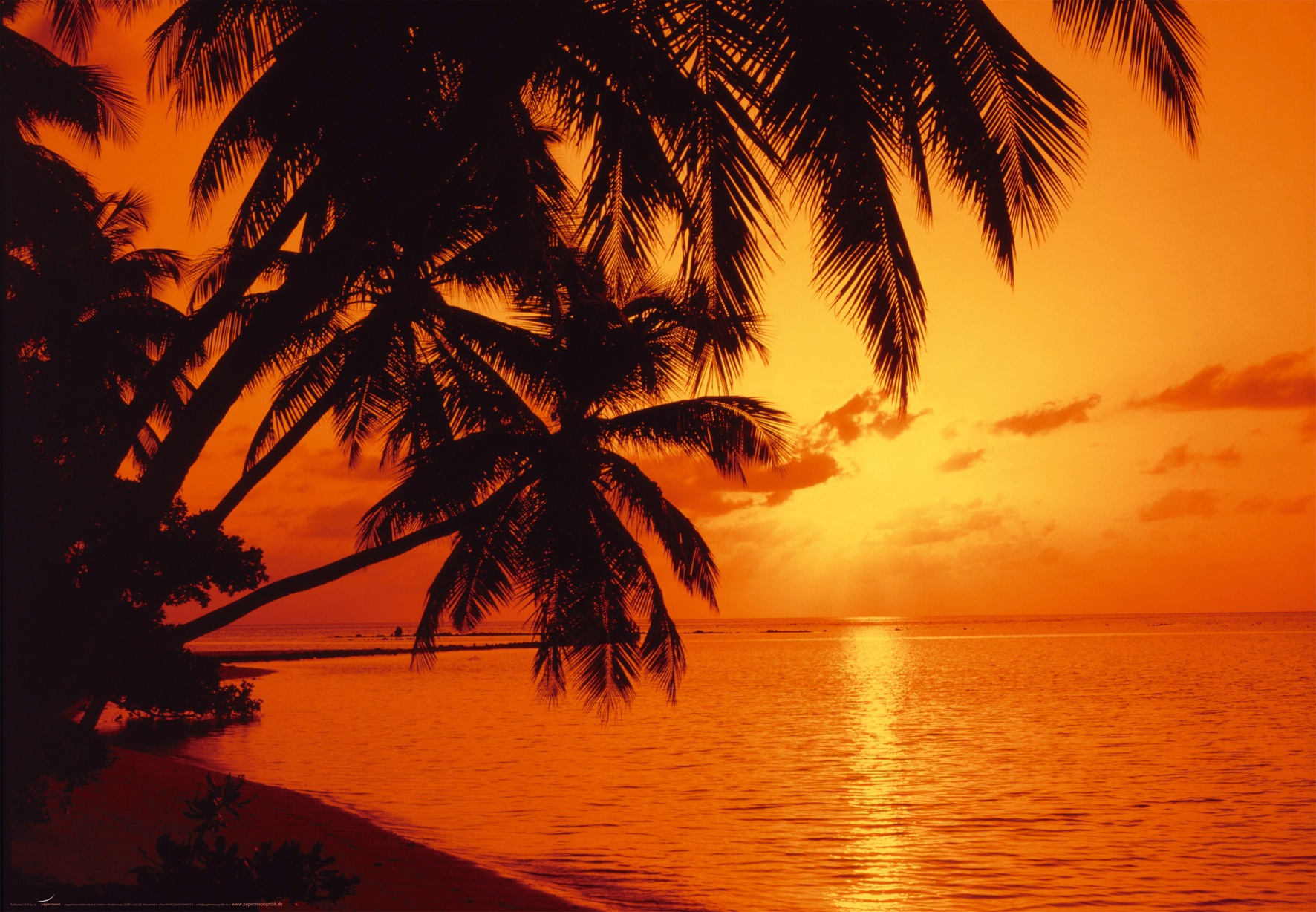Papermoon Fototapete »Tropic Sunset« glatt günstig online kaufen