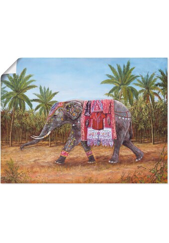 Artland Wandbild »Indischer Elefant«, Wildtiere, (1 St.), als Alubild, Leinwandbild,... kaufen