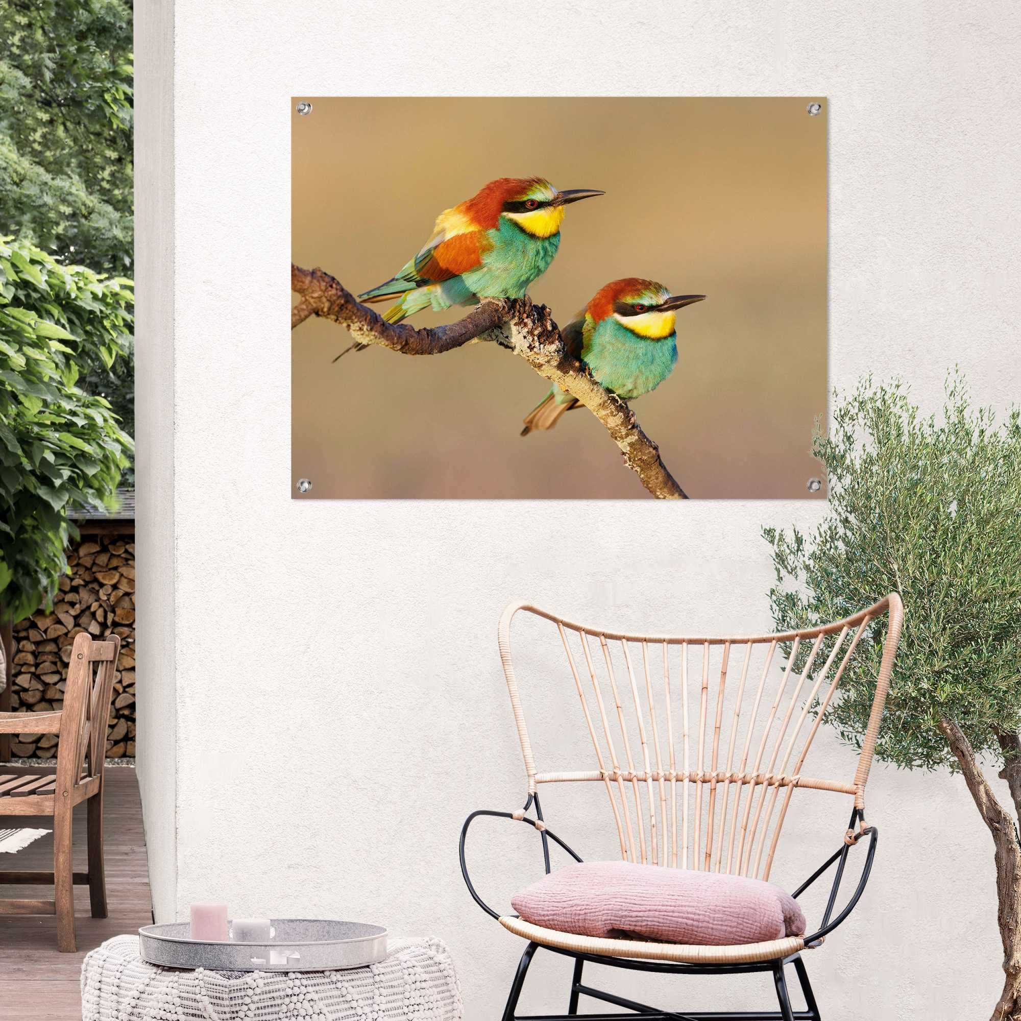 Reinders! Poster »Der Bienenfresser«, Outdoor für Garten oder Balkon