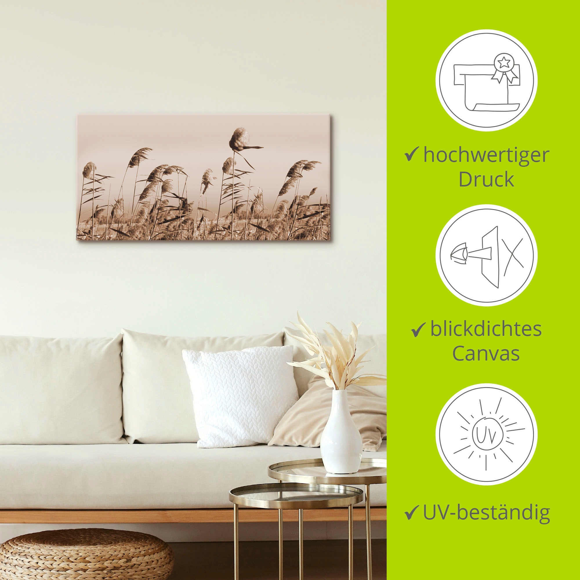 Artland Wandbild »Gräser«, Gräser, (1 St.), als Alubild, Outdoorbild, Leinwandbild, Poster, Wandaufkleber