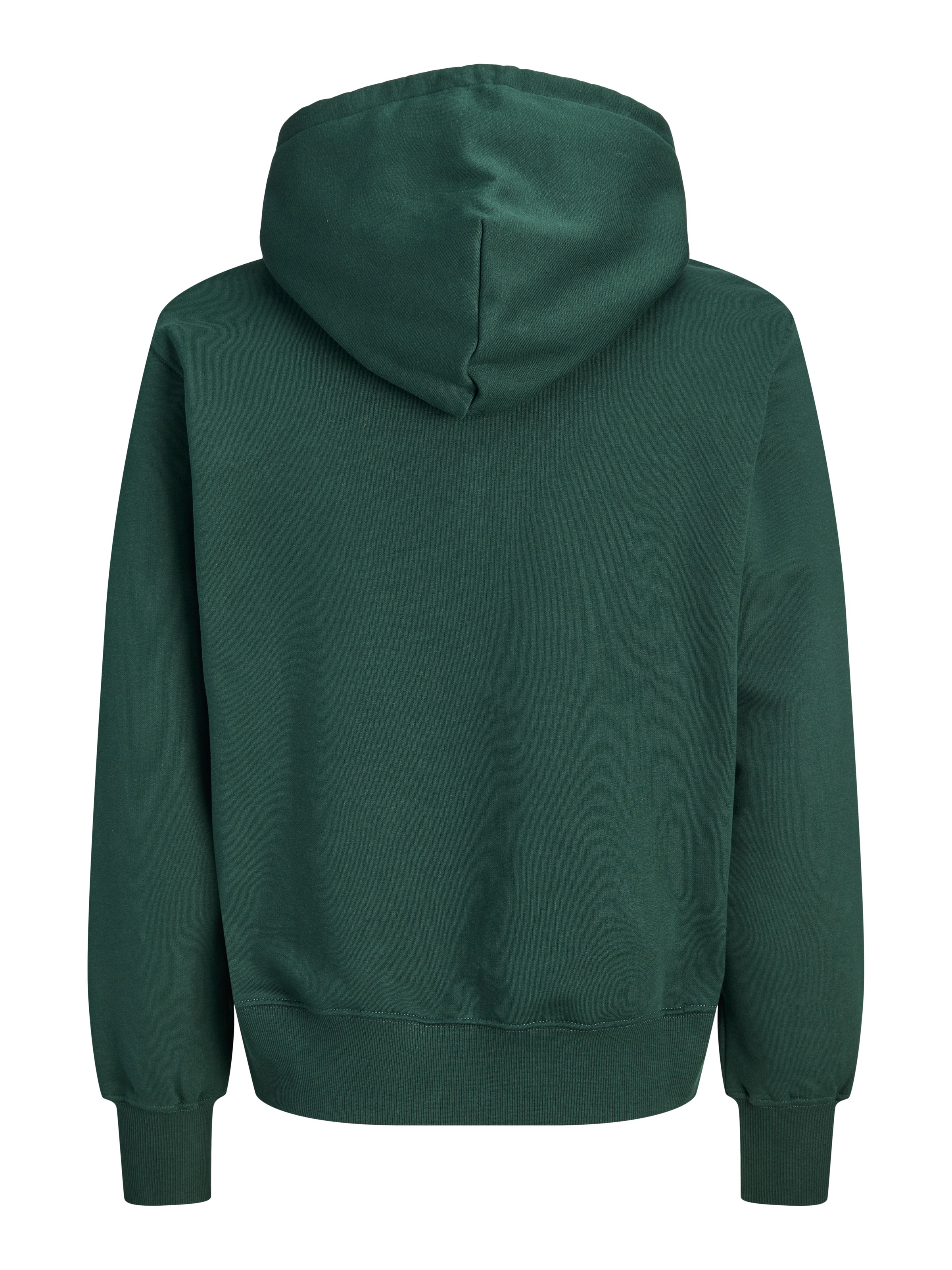 Jack & Jones PlusSize Kapuzensweatshirt »JORFREDERIKSBERG MONOGRAM SWEAT HOOD PLS«, Baumwollmischung, regular fit
