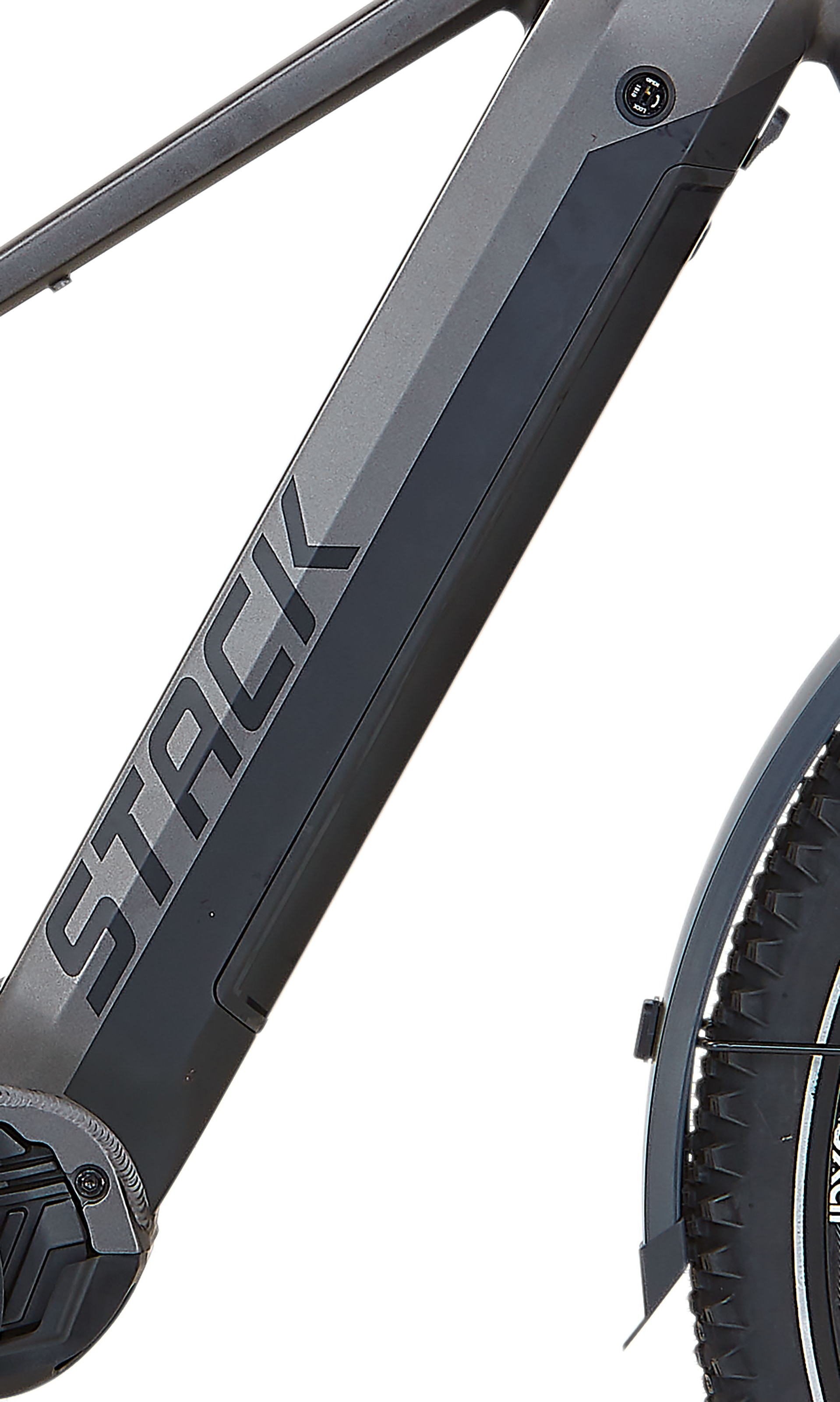 Prophete E-Bike »Stack 5.8«, 10 Gang, Shimano, Deore, Mittelmotor 250 W