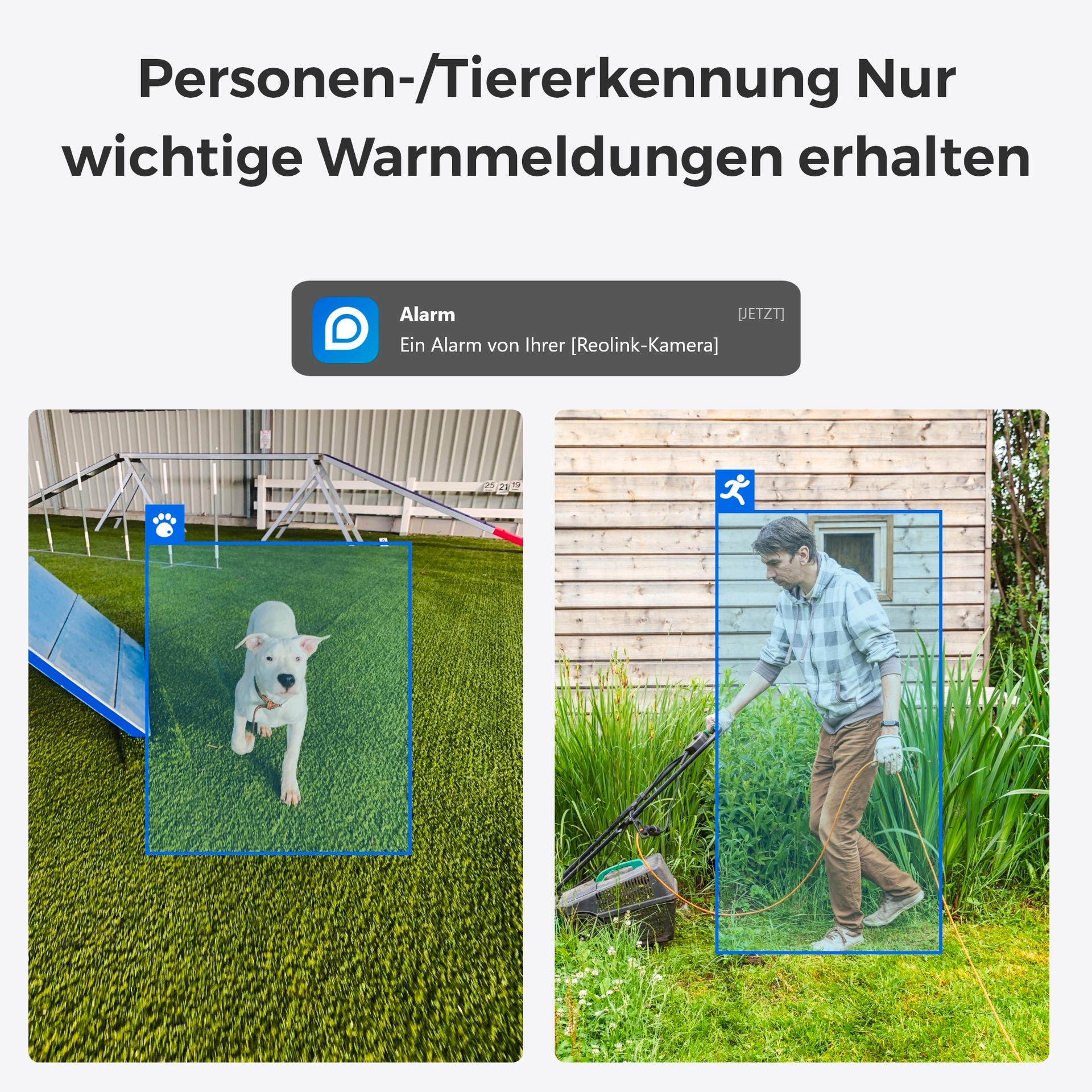 Reolink Überwachungskamera »E Series E330 - 4MP WLAN Überwachungskamera Innen mit Auto Tracking«, Innenbereich, Personen-/Tiererkennung, Schwenk & Neigung, 2-Wege-Audio, Nachtsicht