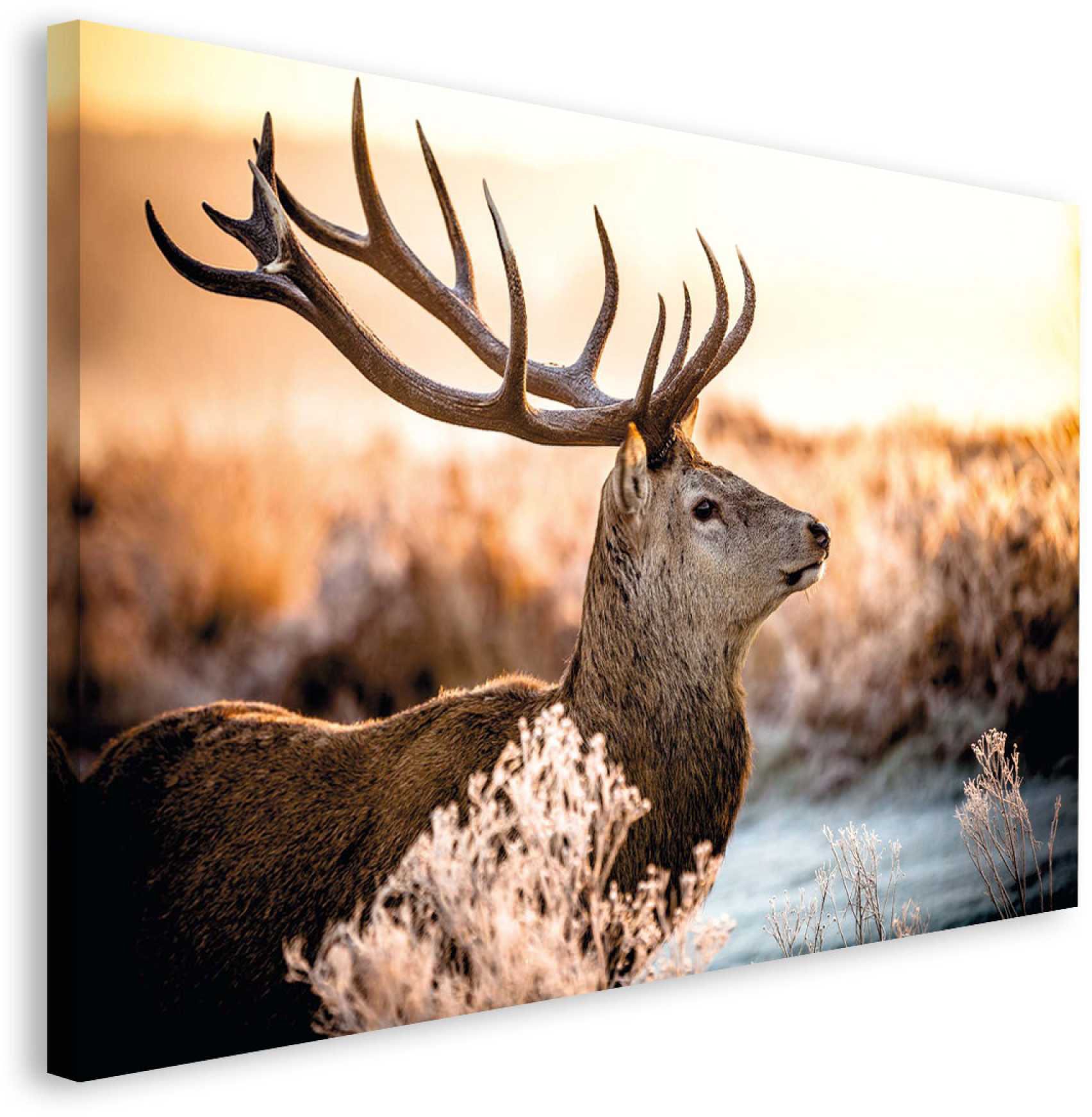 Reinders! Deco-Panel »Hirsch im Wald«, 118/70 cm