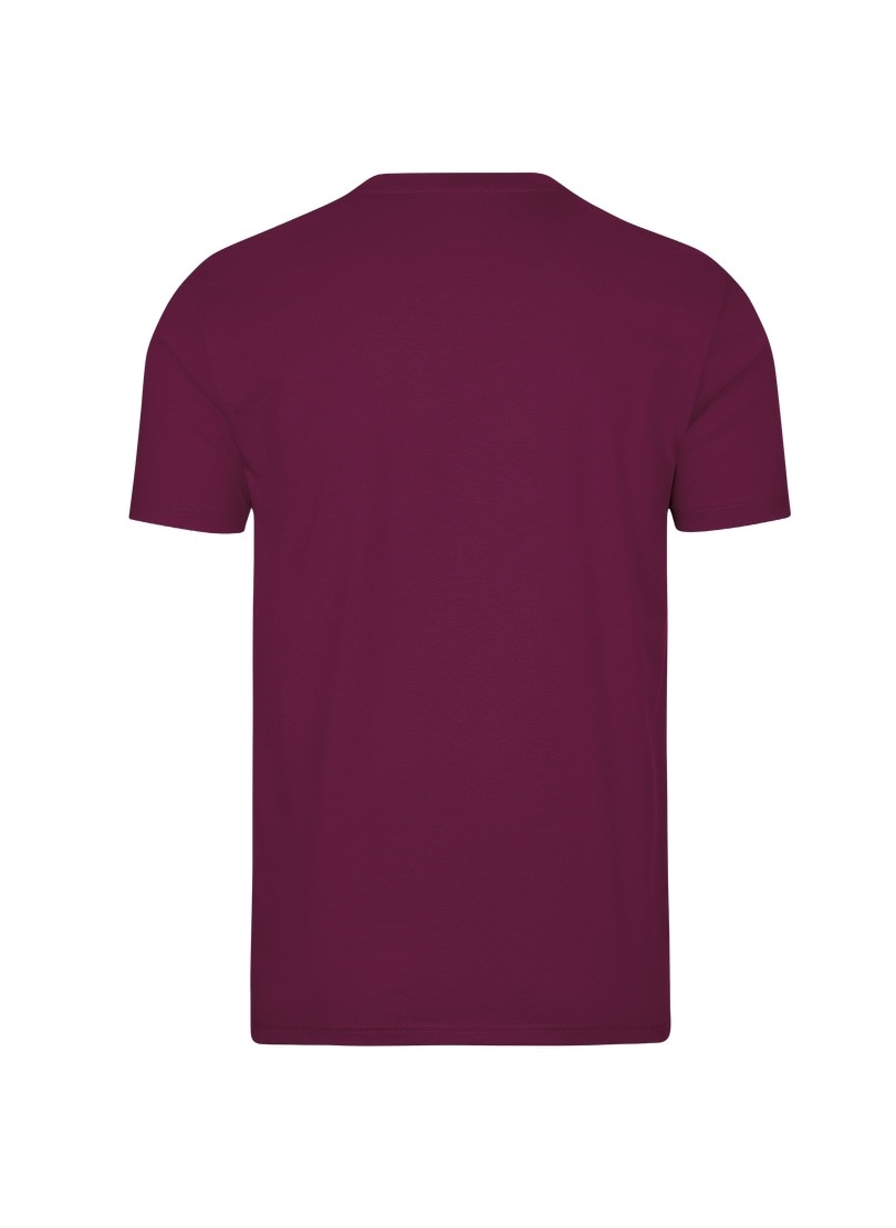 Trigema T-Shirt »TRIGEMA T-Shirt DELUXE Baumwolle«, (1 tlg.)