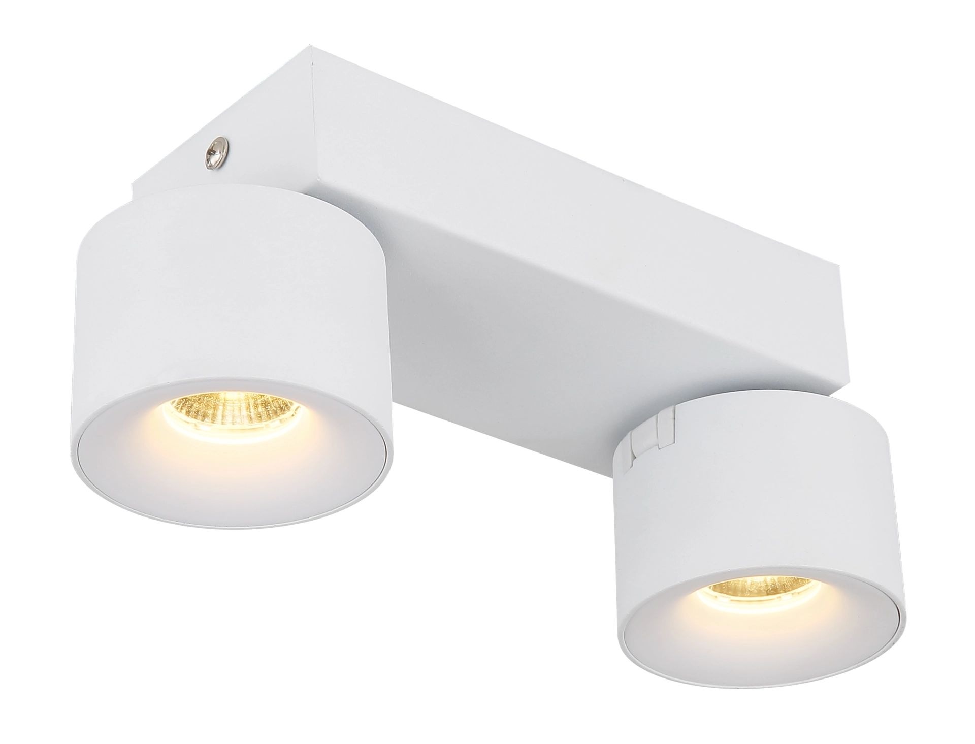 GLOBO LIGHTING LED Deckenstrahler »RAE«, 2 flammig, Leuchtmittel LED-Modul | LED fest integriert, mit schwenkbare und runde -zylindrischen LED-Strahlern