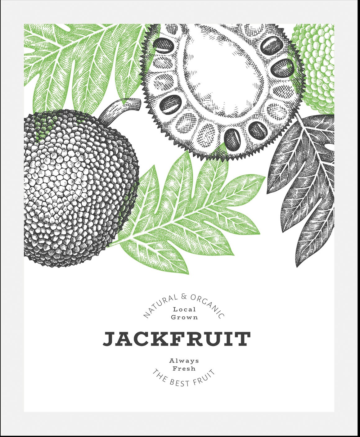 queence Bild »Jackfruit«, Obst-Obst Bilder-Schriftzug-Figuren-Abstrakt, (1 günstig online kaufen