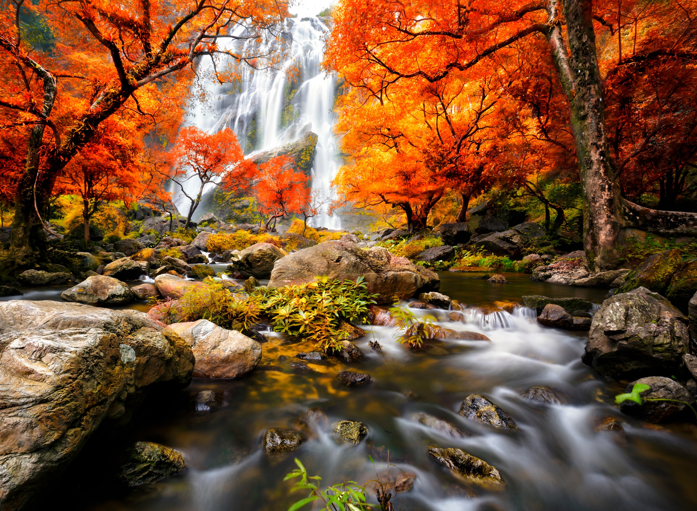 Papermoon Fototapete »Autumn Waterfall« glatt günstig online kaufen