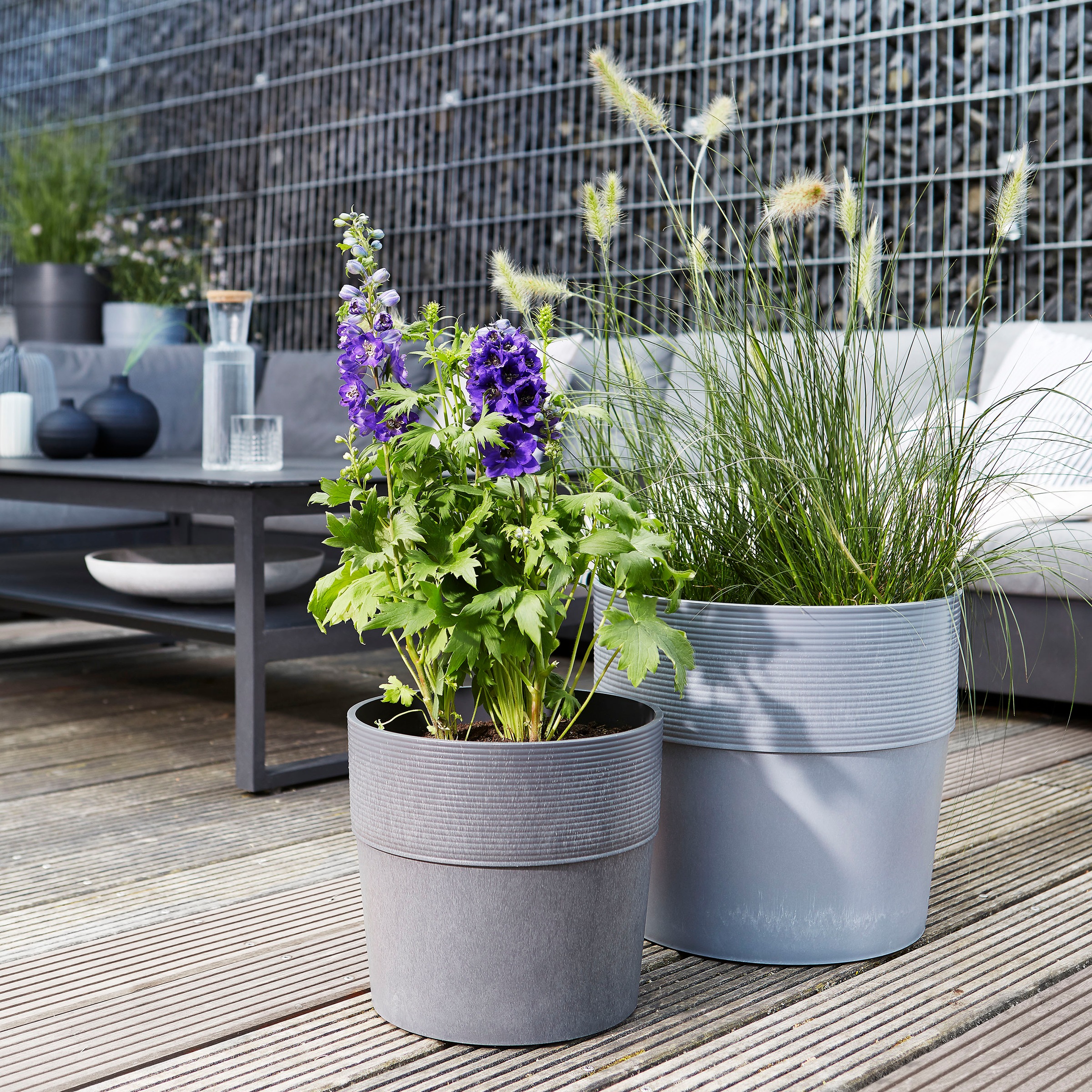 Scheurich Blumentopf »30/266 GROOVE+«