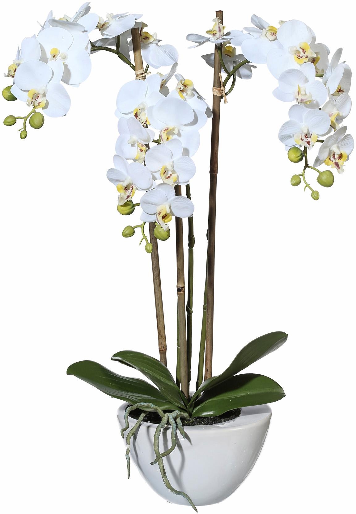 Kunstpflanze online »Mini Creativ green Orchidee« kaufen