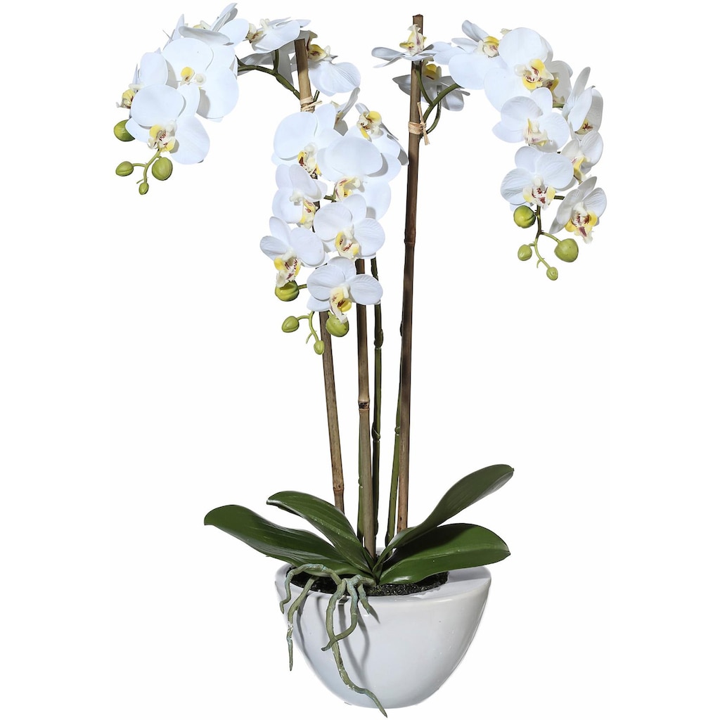 Creativ green Kunstpflanze »Mini Orchidee«