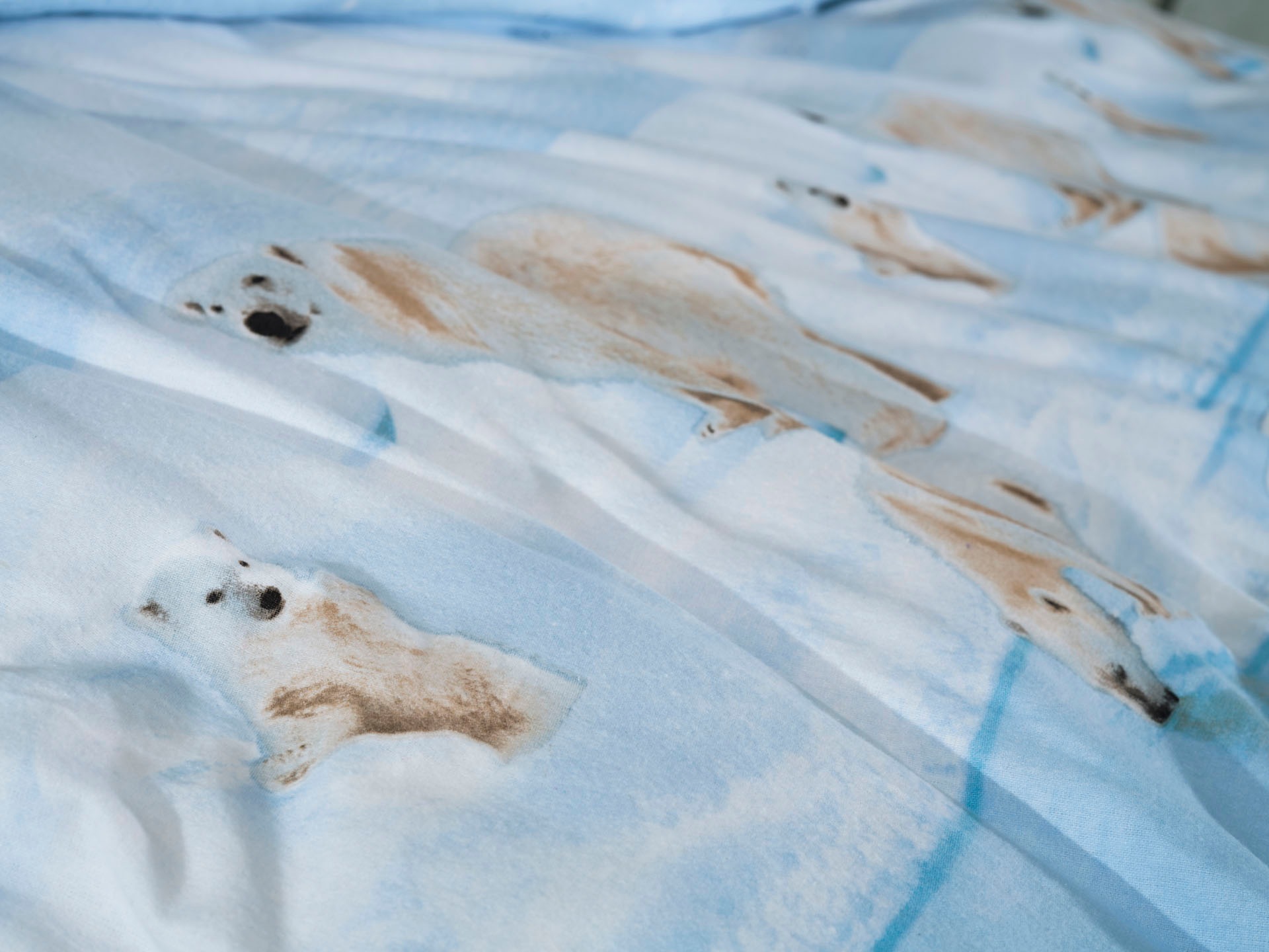 ZO HOME Bettwäsche »Polare« 1 Stk. tlg. Bettwäsche aus 100% Baumwolle, hochwertige Flanell