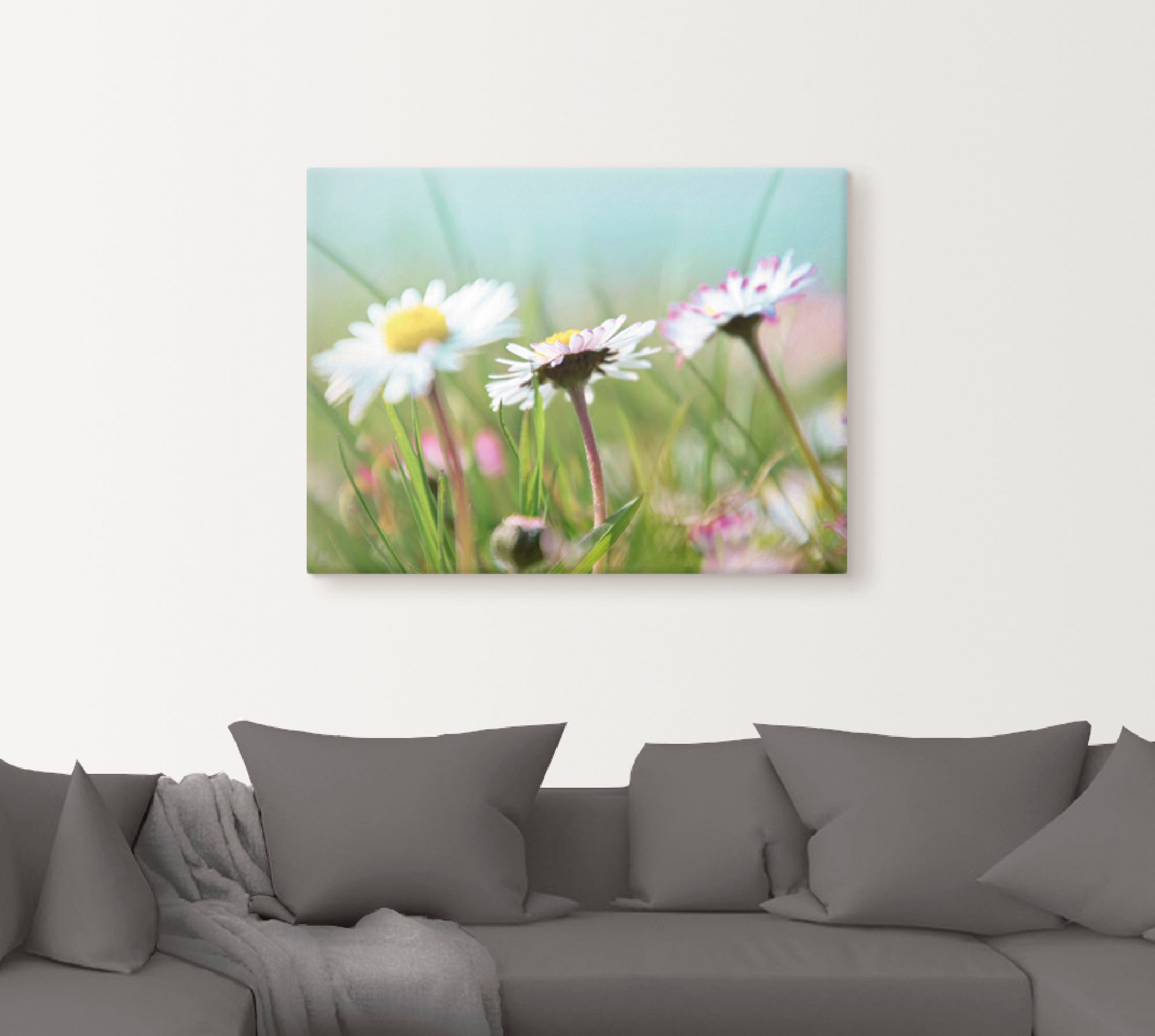 Artland Leinwandbild »Gänseblümchen Romantik«, Blumen, (1 St.), auf Keilrah günstig online kaufen