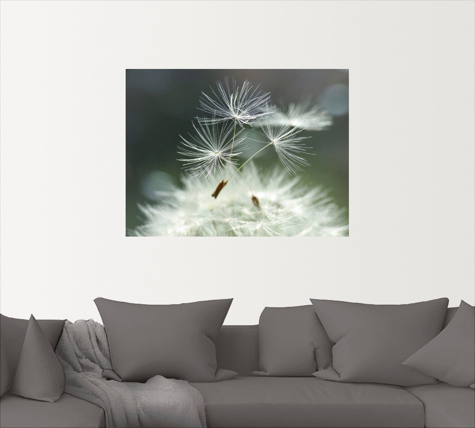 Artland Wandbild »Pusteblume Facility«, Blumen, (1 St.), als Alubild, Outdoorbild, Leinwandbild, Poster, Wandaufkleber
