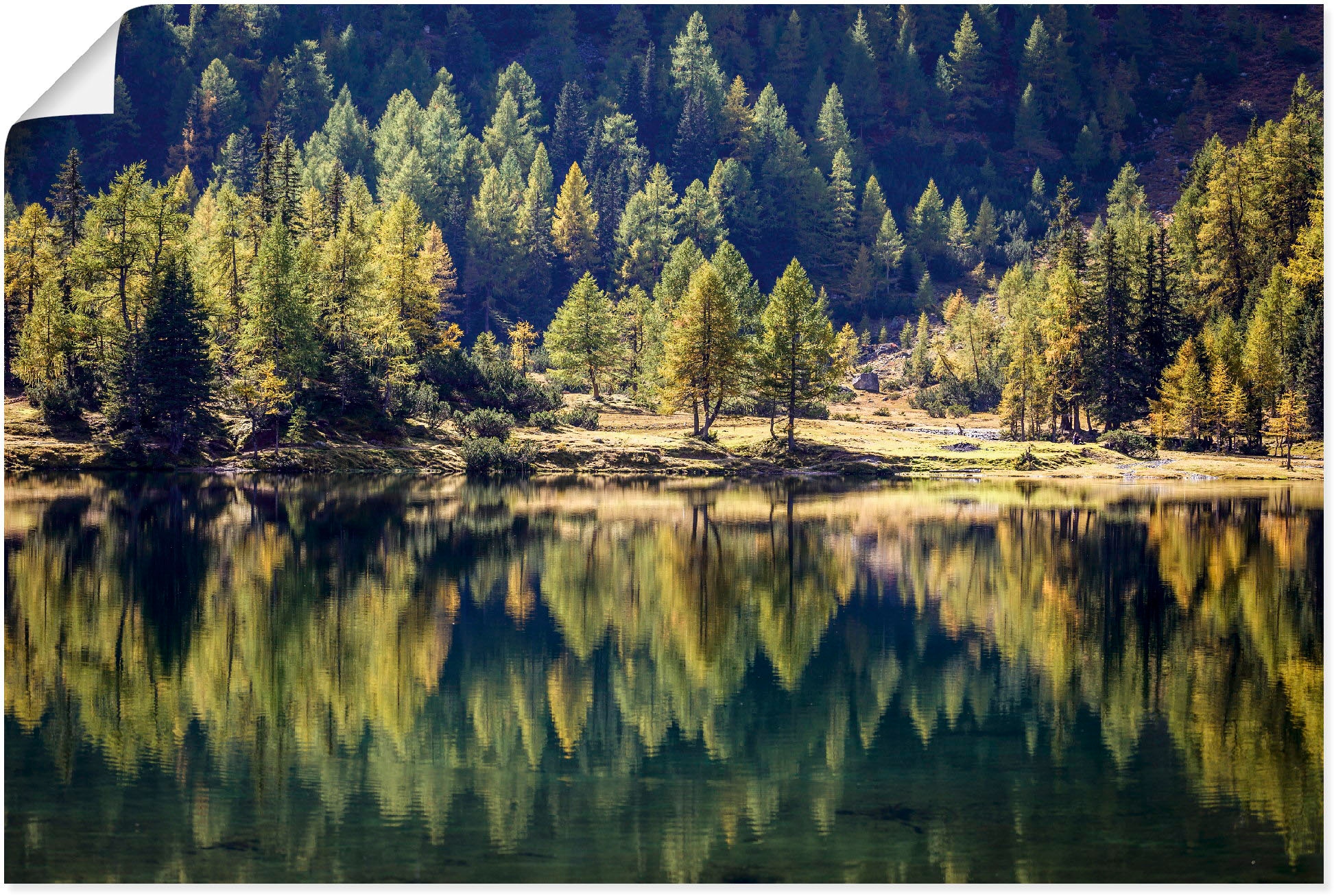 Artland Poster »Herbstwald am Duisitzkarsee«, Waldbilder, (1 St.), als Alub günstig online kaufen