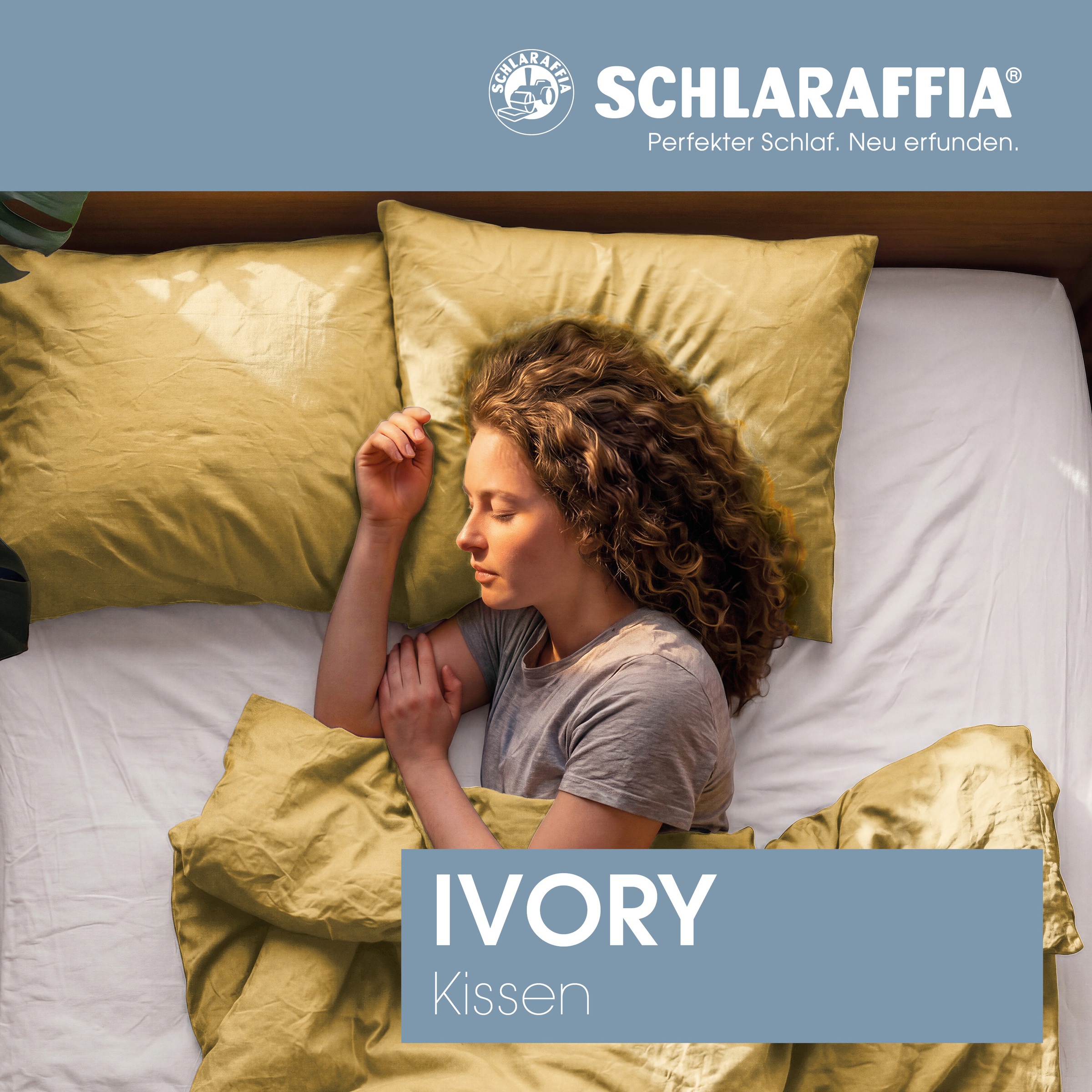 Schlaraffia Kopfkissen »Kissen SCHLARAFFIA IVORY« 1 Stk. tlg.