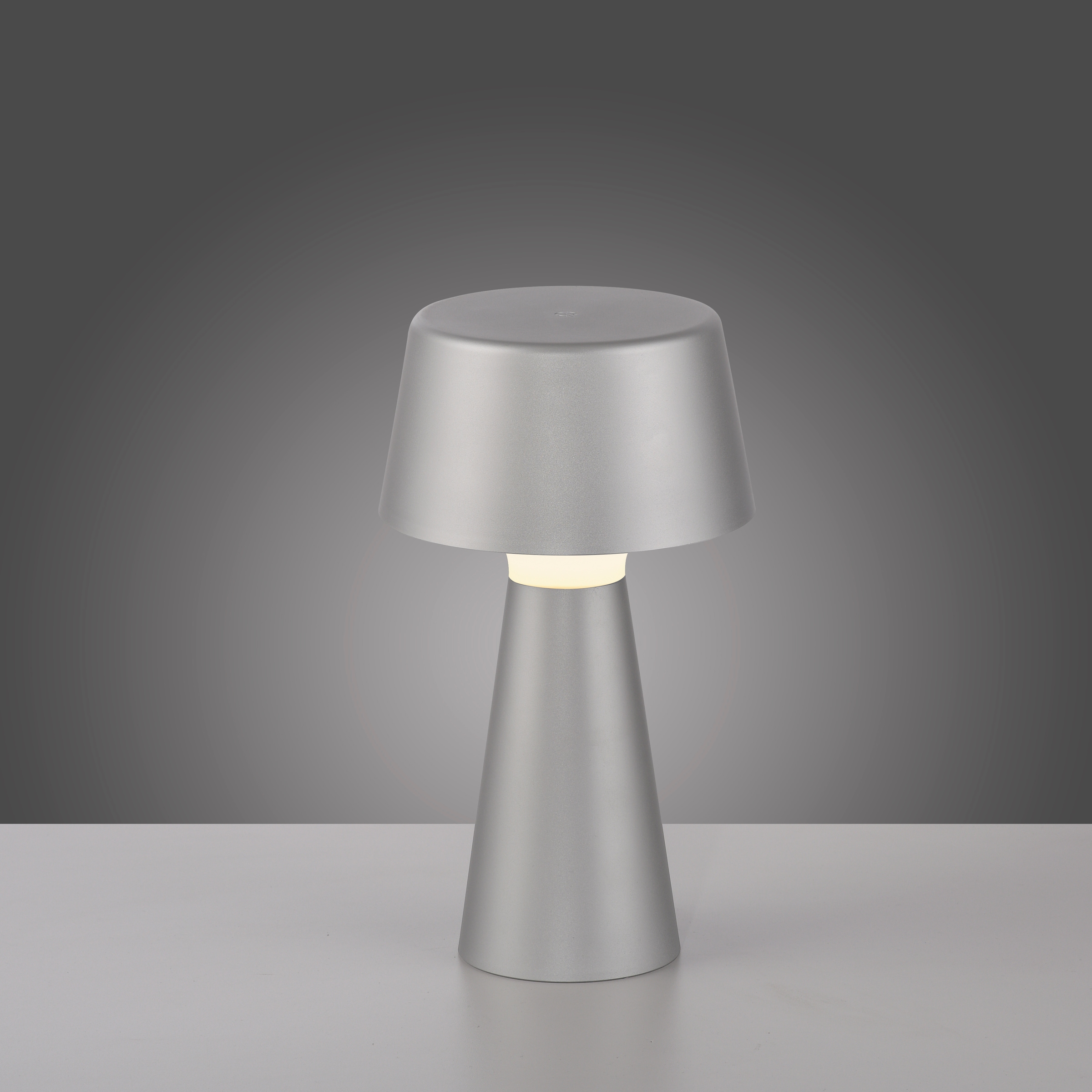 JUST LIGHT Tischleuchte »ABERA«, 1 flammig, Leuchtmittel LED-Modul | LED fest integriert, Akkuleuchte