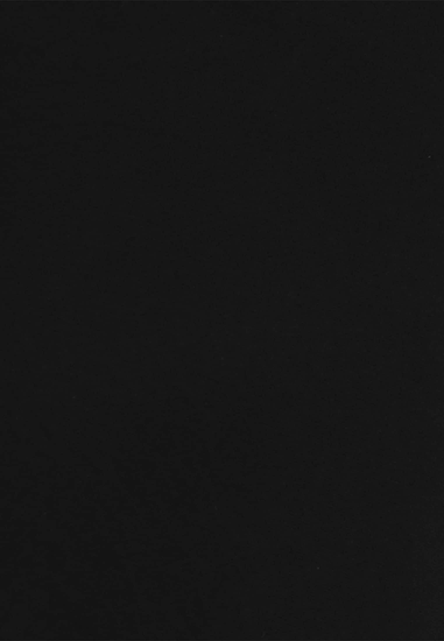 seidensticker Culotte »Schwarze Rose«