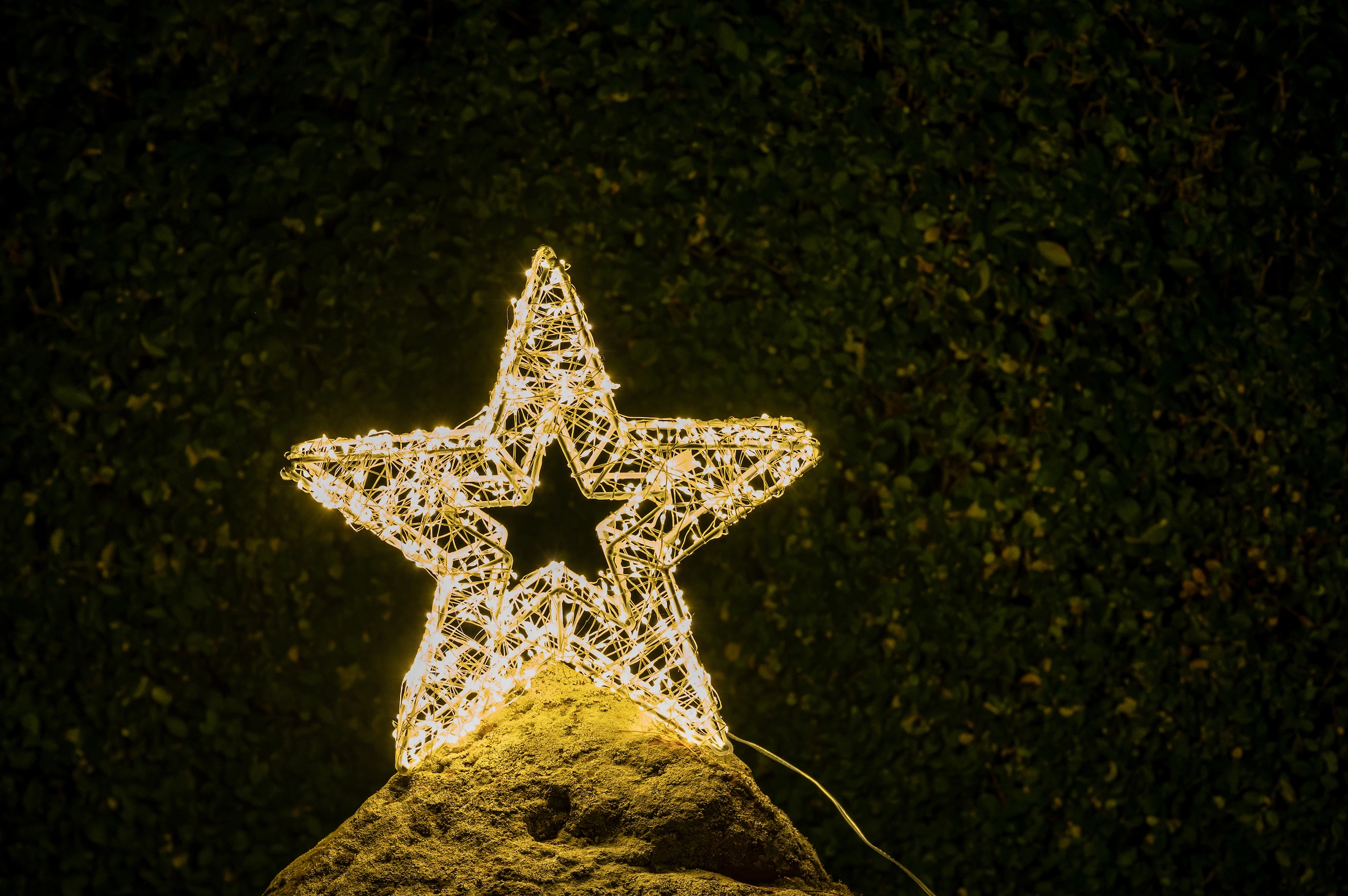 kaufen auf flammig-flammig, Rechnung Star-Max LED Stern LED stromsparende Weihnachtsdeko 960 »Weihnachtsstern, aussen«,