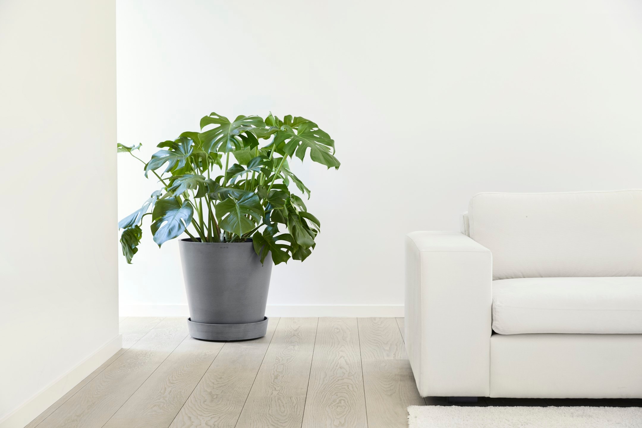 ECOPOTS Blumentopfuntersetzer »SAUCER WHEELS Grey« BxTxH: 41,5x41,5x9 cm