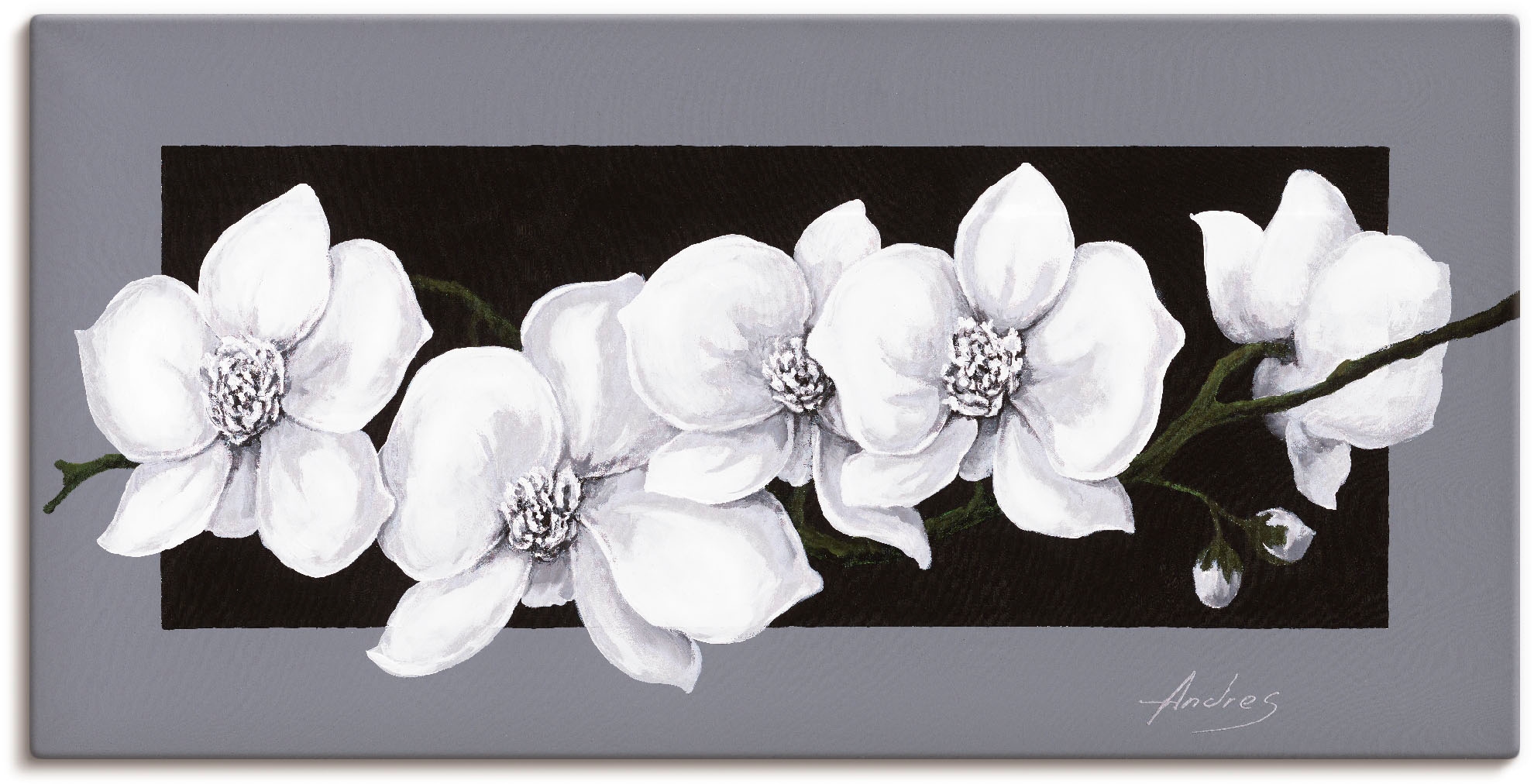 Artland Wandbild »Weiße Orchideen auf grau« 1 Stk. tlg. als Alubild, Outdoo günstig online kaufen