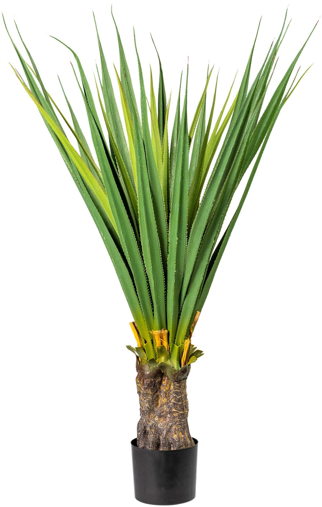green Künstliche Rechnung kaufen auf Creativ »Aloe« Zimmerpflanze