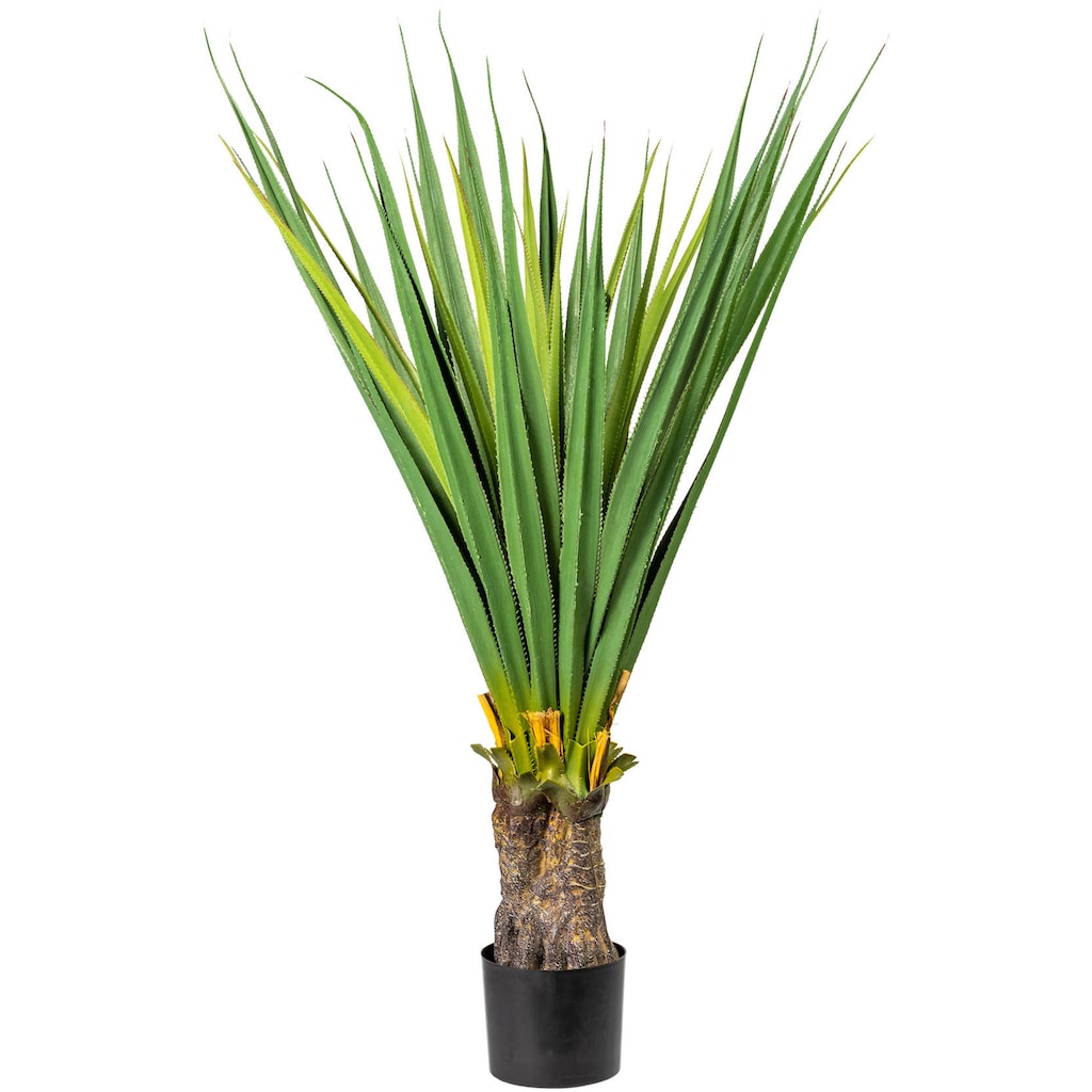 Creativ green Künstliche Zimmerpflanze »Aloe«