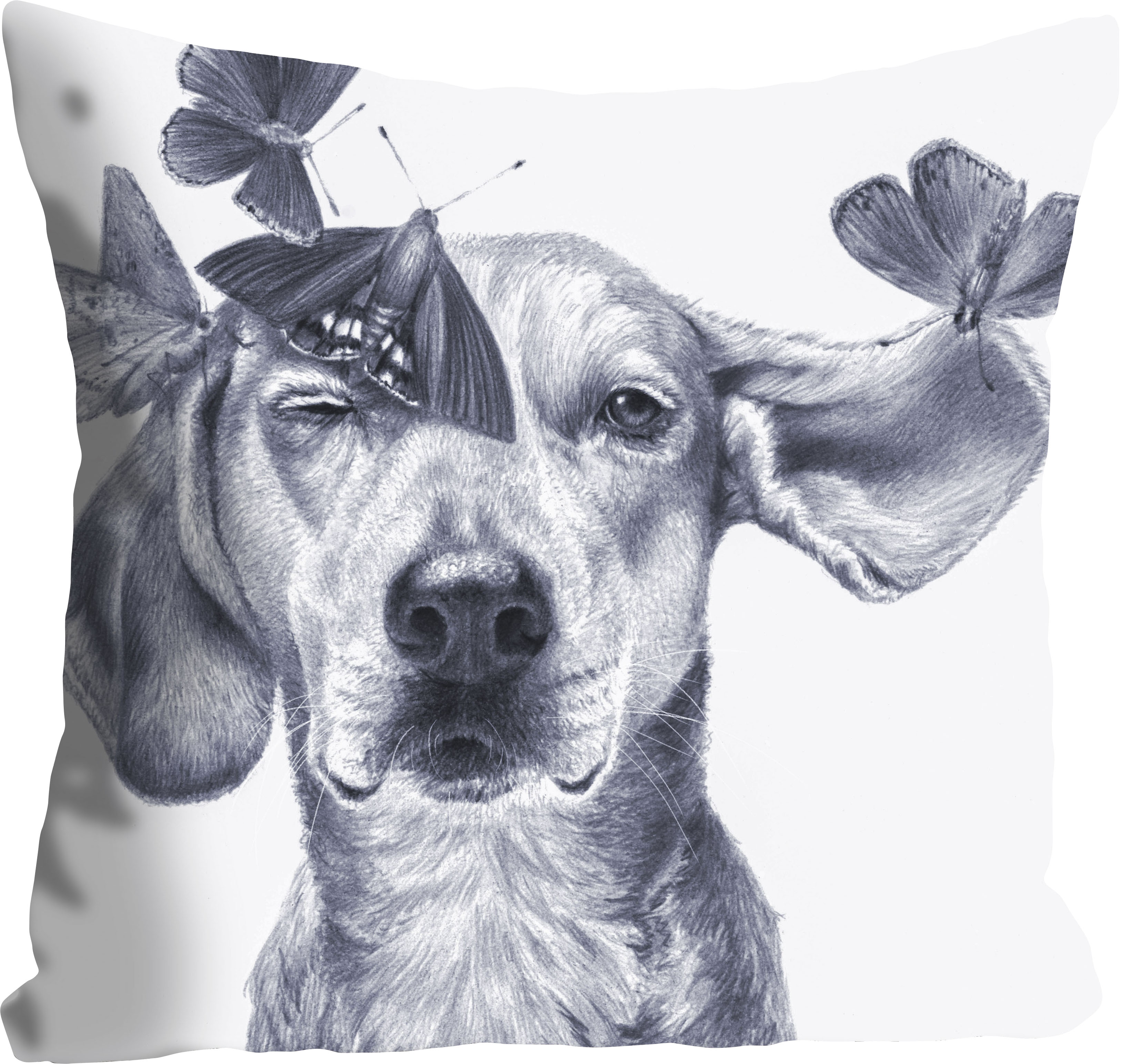 queence Dekokissen "Buttercup" mit einem Hund und Schmetterlingen günstig online kaufen