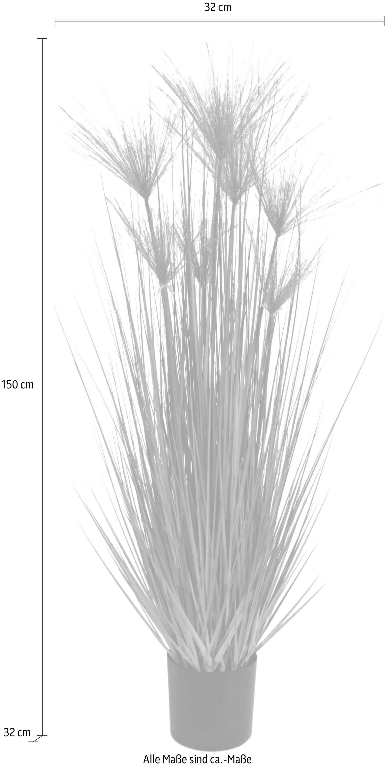 I.GE.A. Kunstpflanze »Zyperngras im Topf« günstig online kaufen