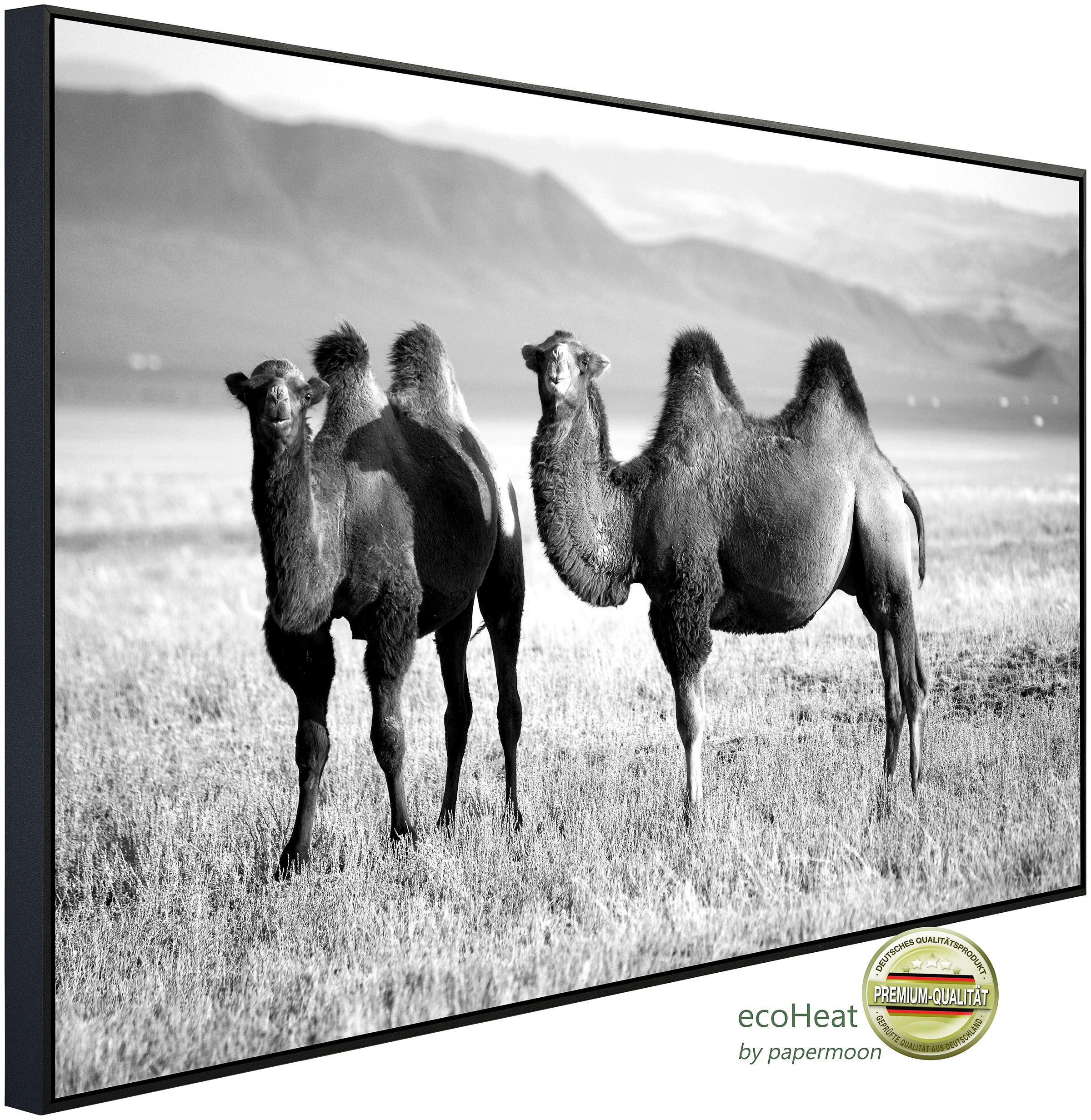 Papermoon Infrarotheizung »Kamele Schwarz & Weiß«, sehr angenehme Strahlung günstig online kaufen