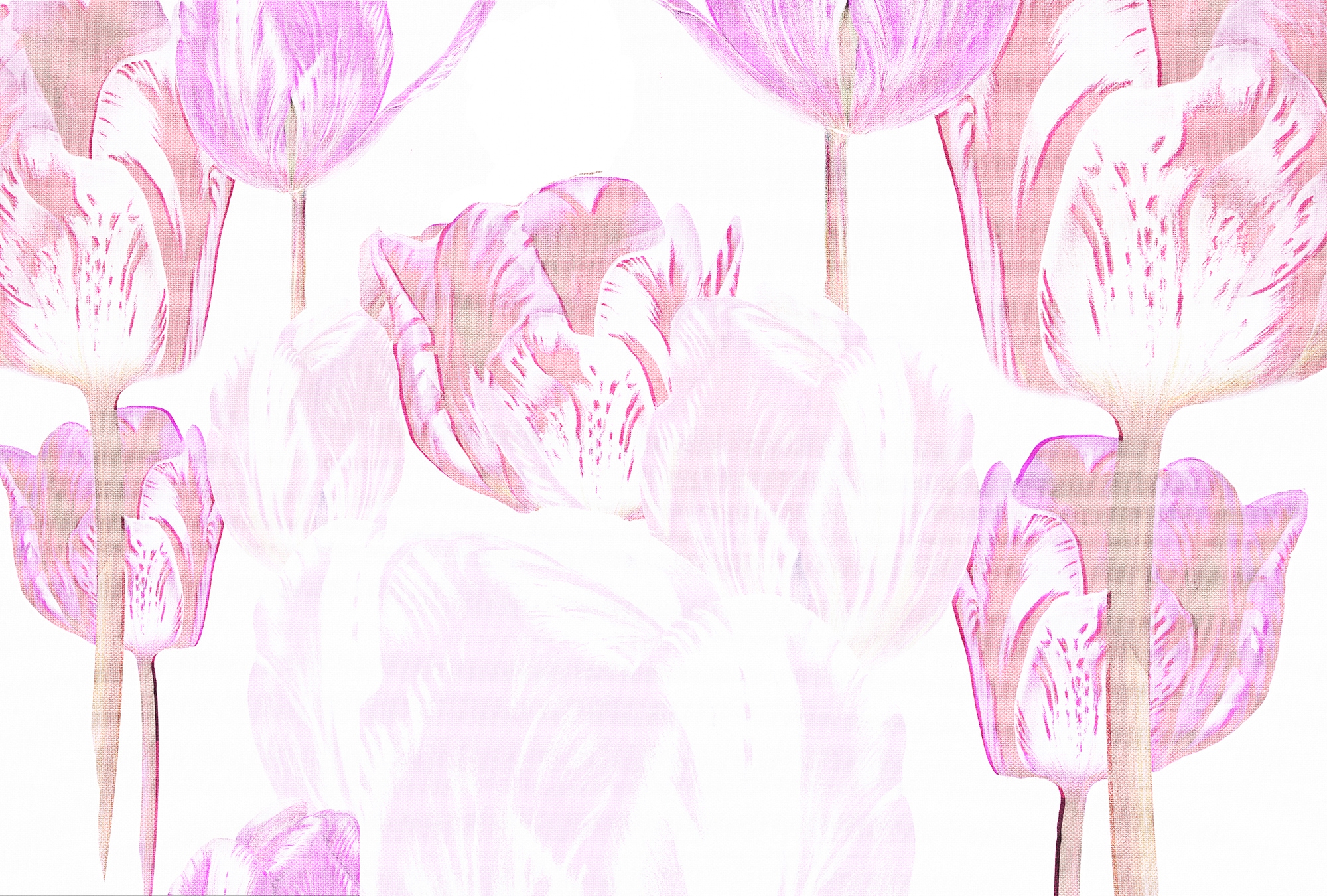 Architects Paper Fototapete »Atelier 47 Tulip Artwork 1« floral glatt Vlies günstig online kaufen