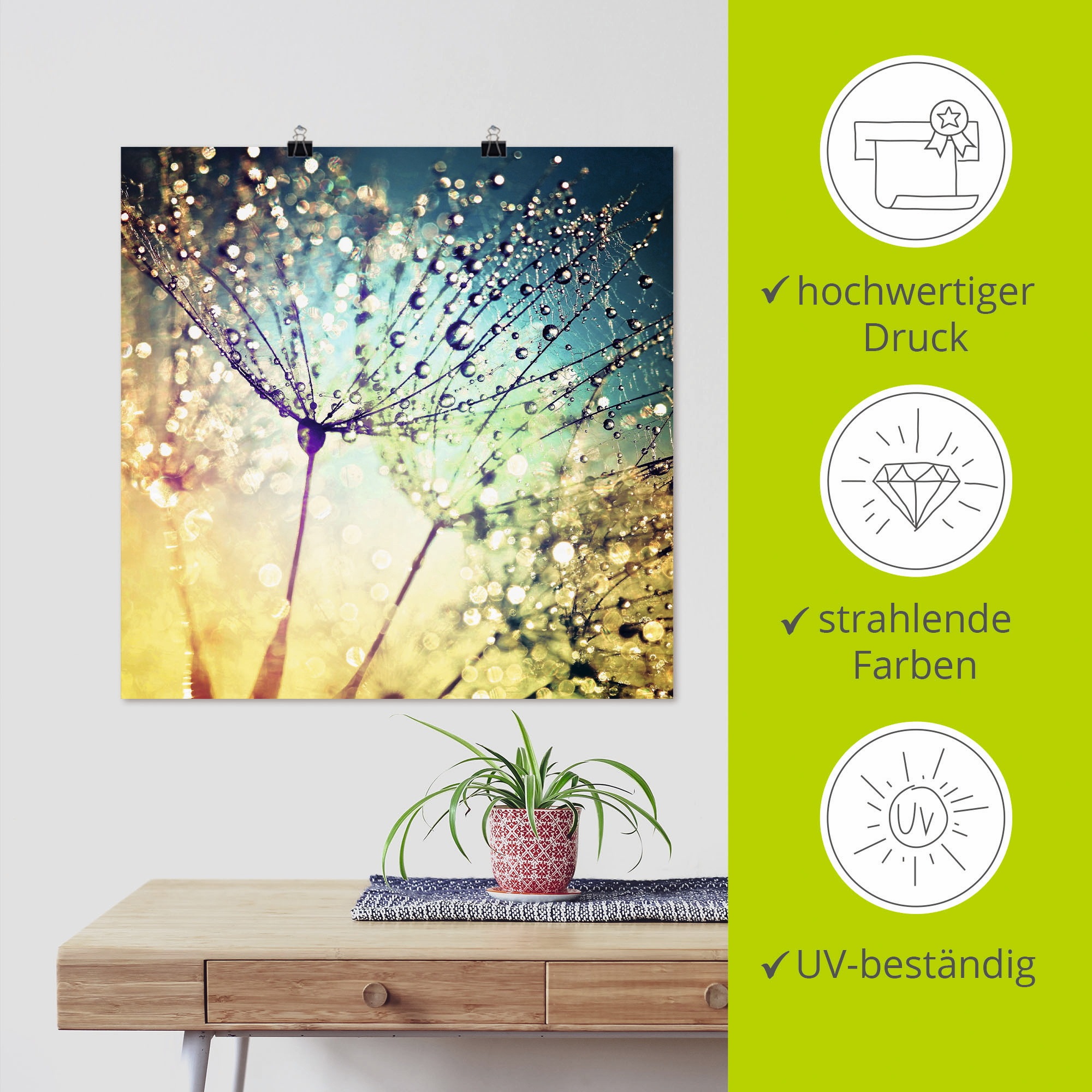 Artland Wandbild »Pusteblume Zaubertropfen«, Blumen, (1 St.), als Alubild, Outdoorbild, Leinwandbild, Poster, Wandaufkleber