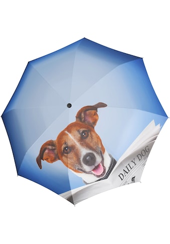 doppler® Stockregenschirm »Modern Art Lang Automatik, Daily Dog« kaufen