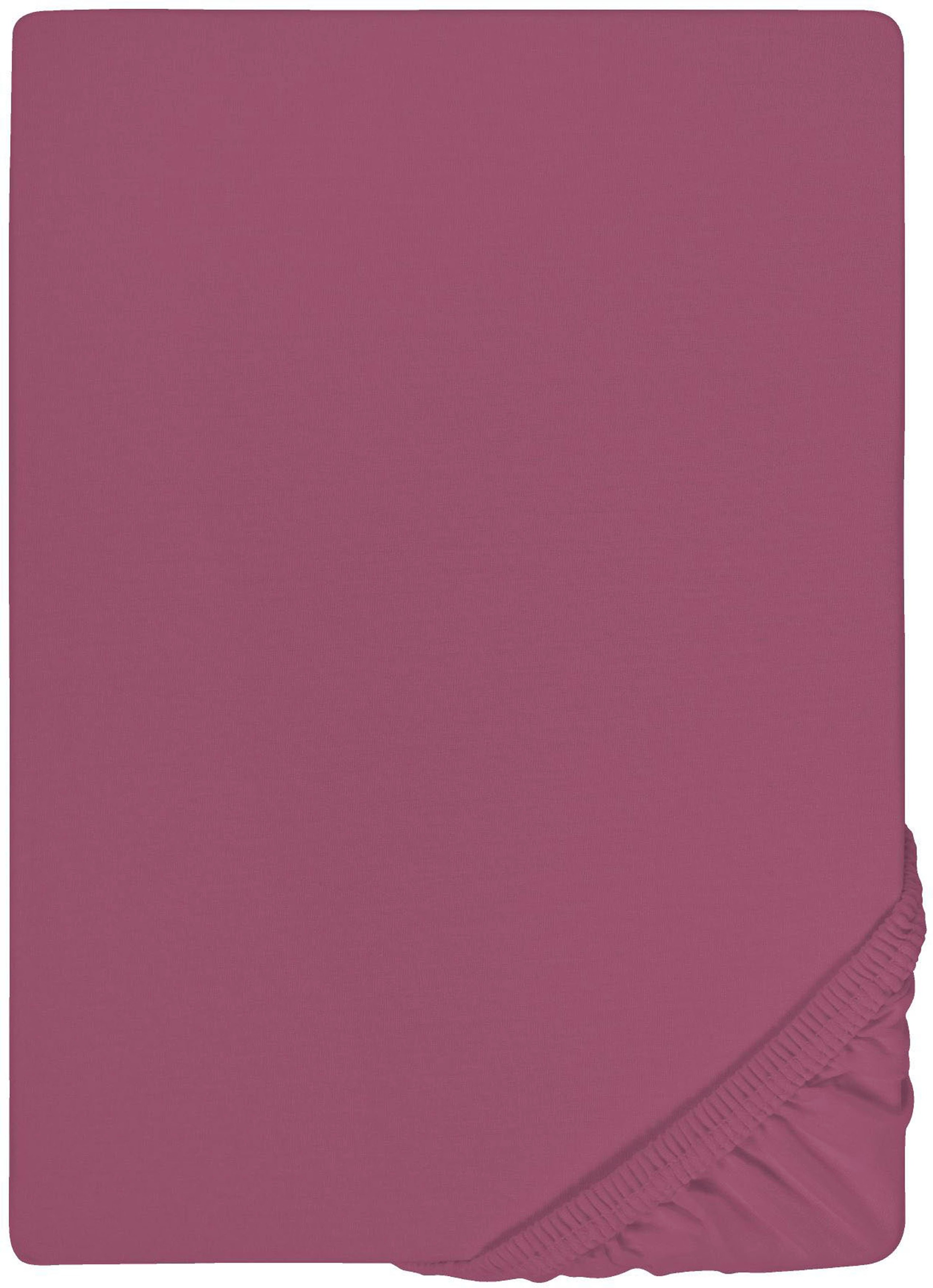 Castell - Markenbettwäsche Spannbettlaken »Jersey in Gr. 90x200, 140x200 oder 180x200 cm«, aus Baumwolle, für Matratzen bis 22 cm Höhe, Bettlaken, Spannbetttuch