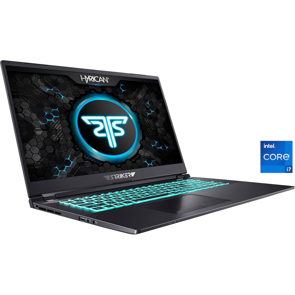 Hyrican Gaming-Notebook »Striker 1673«, 43,94 cm, / 17,3 Zoll, Intel, Core i7, GeForce RTX 3080, 1000 GB SSD