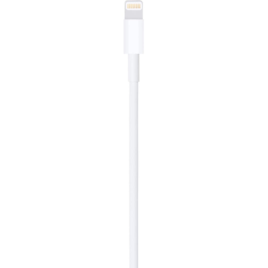 Apple Smartphone-Kabel »Lightning to USB Cable (0.5 m)«, Lightning, USB, 50 cm